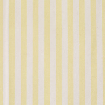 Maize and White Stripe