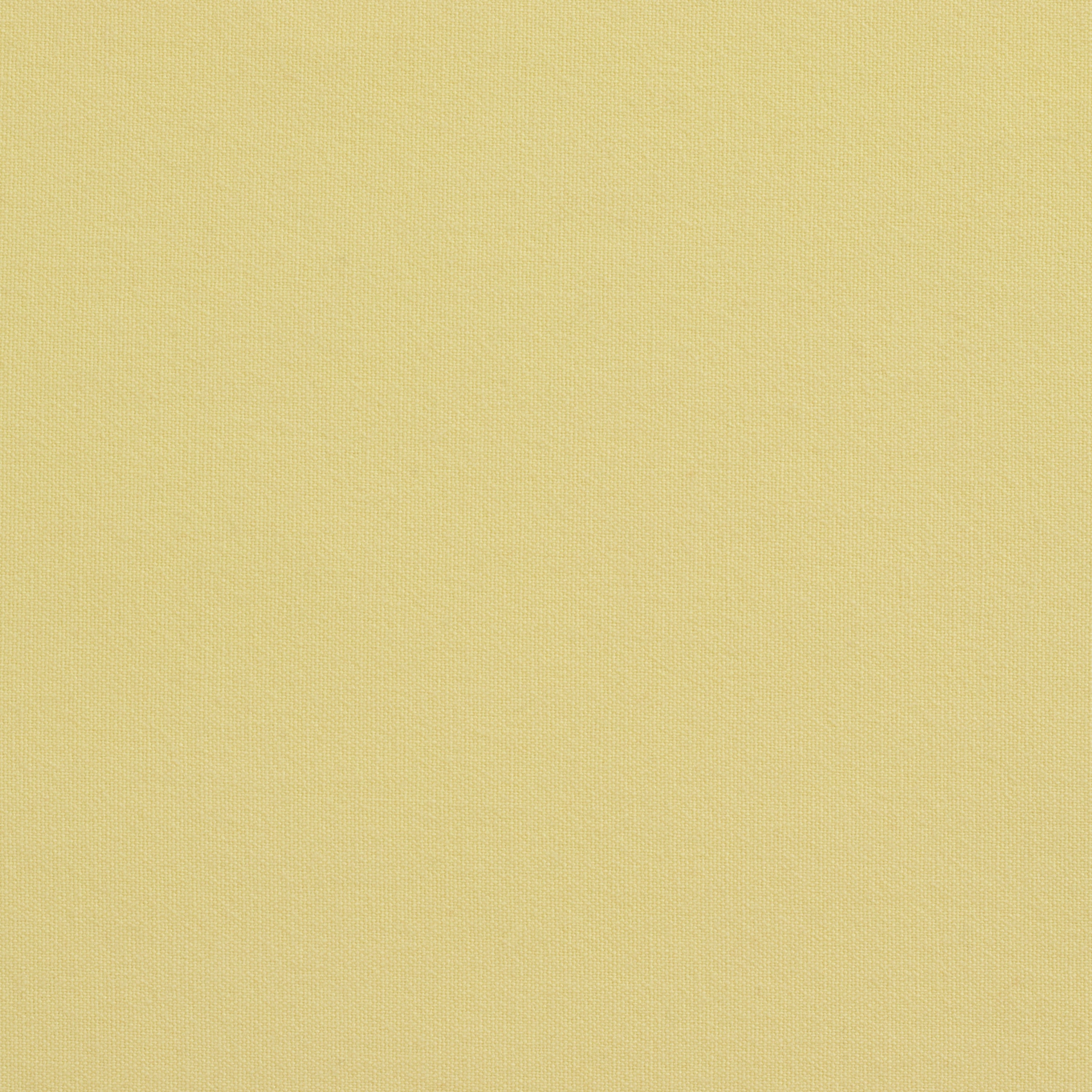 Solid Cotton Nouveau Maize