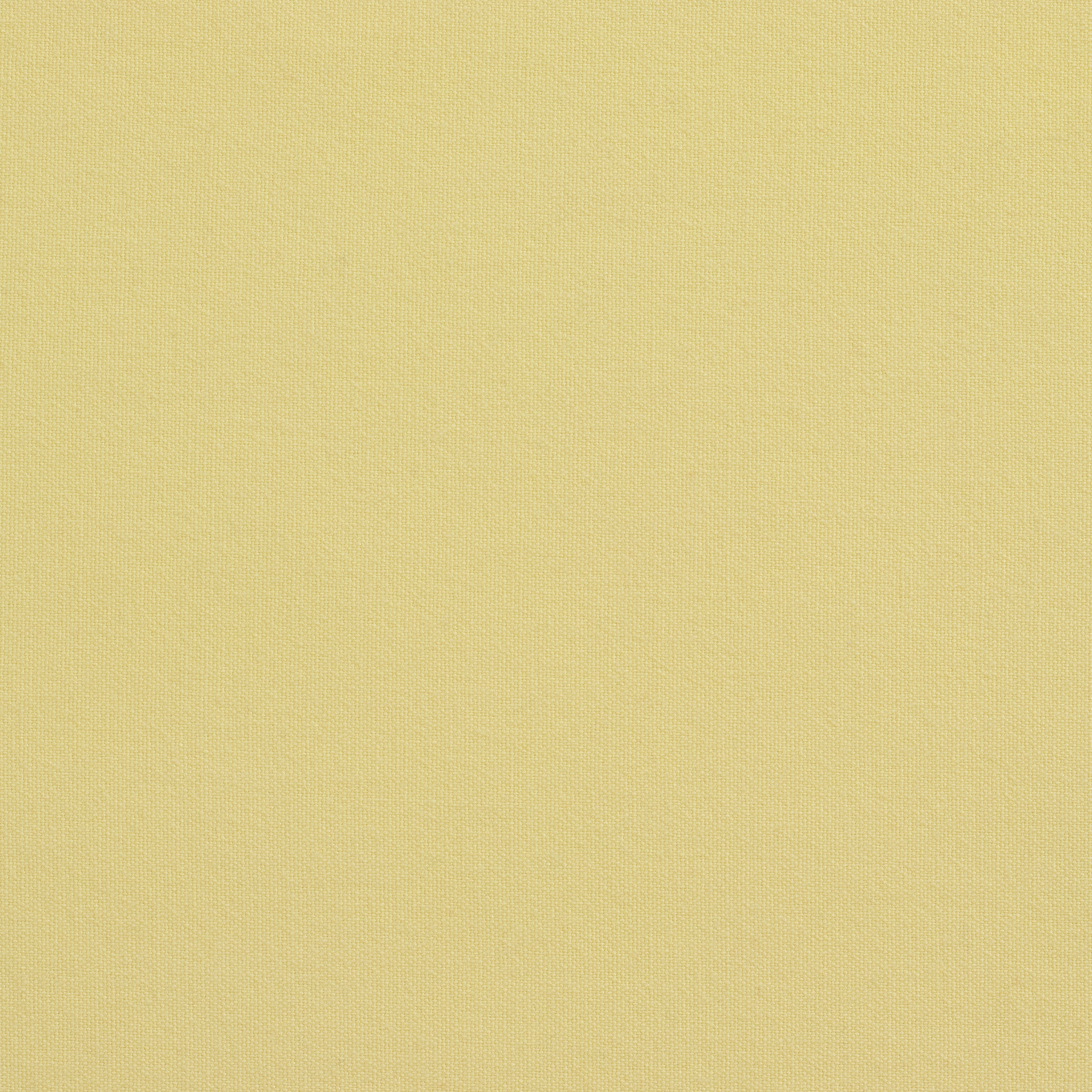 Solid Cotton Nouveau Maize
