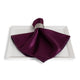 Majestic Eggplant Napkin