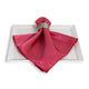 Majestic Watermelon Napkin
