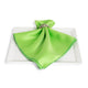 Matte Satin Apple Napkin