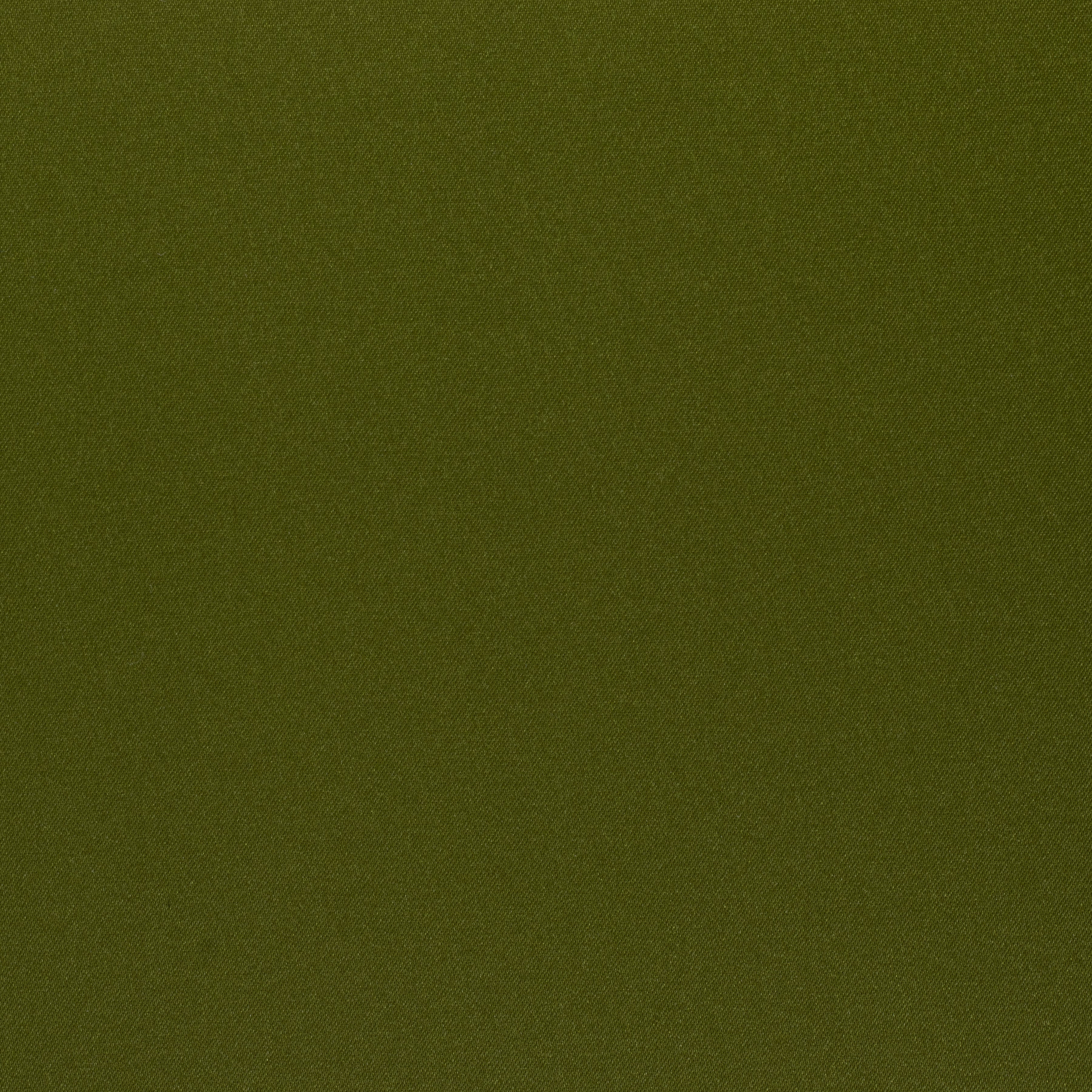 Matte Satin Moss Napkin