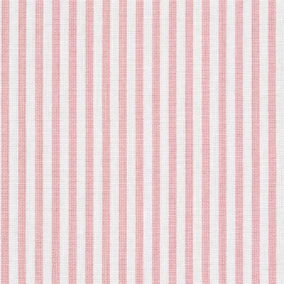 Morgan Stripe Rose