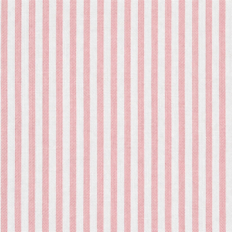 Morgan Stripe Rose