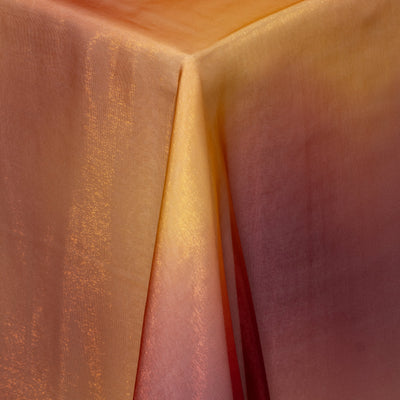 Ombre Organza Sheer Topper