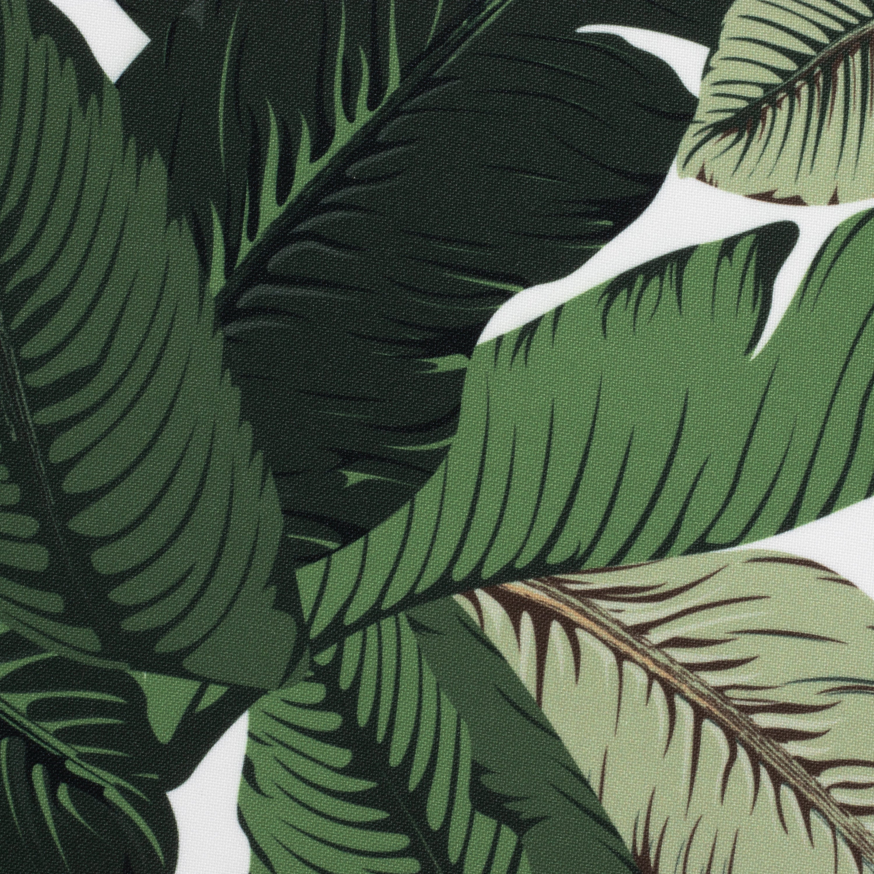 Pamela's Palm