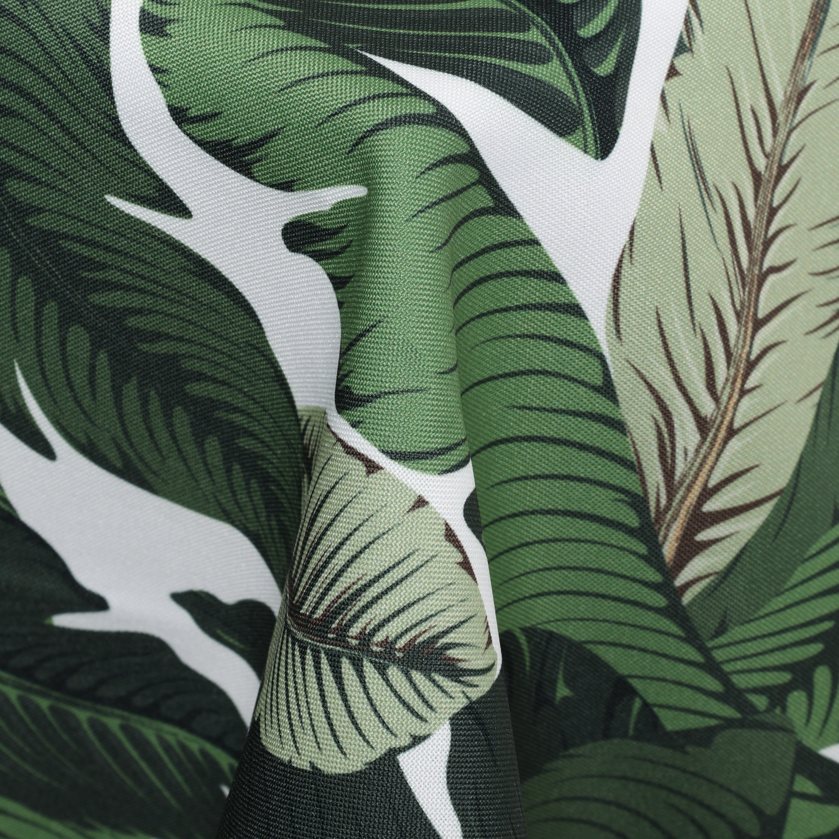 Pamela's Palm