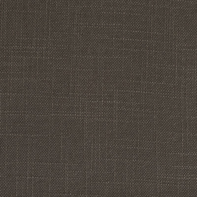 Panama Charcoal