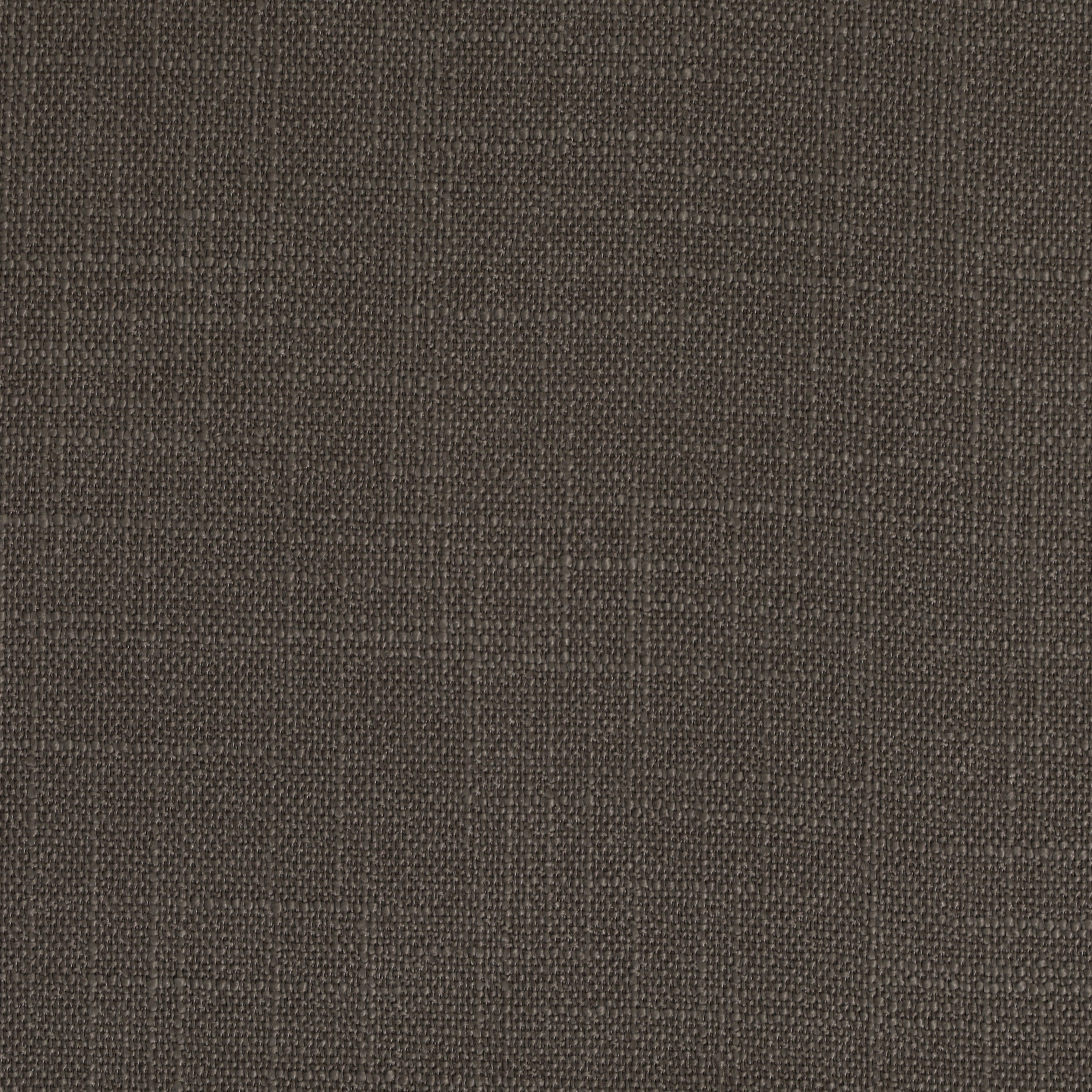 Panama Charcoal