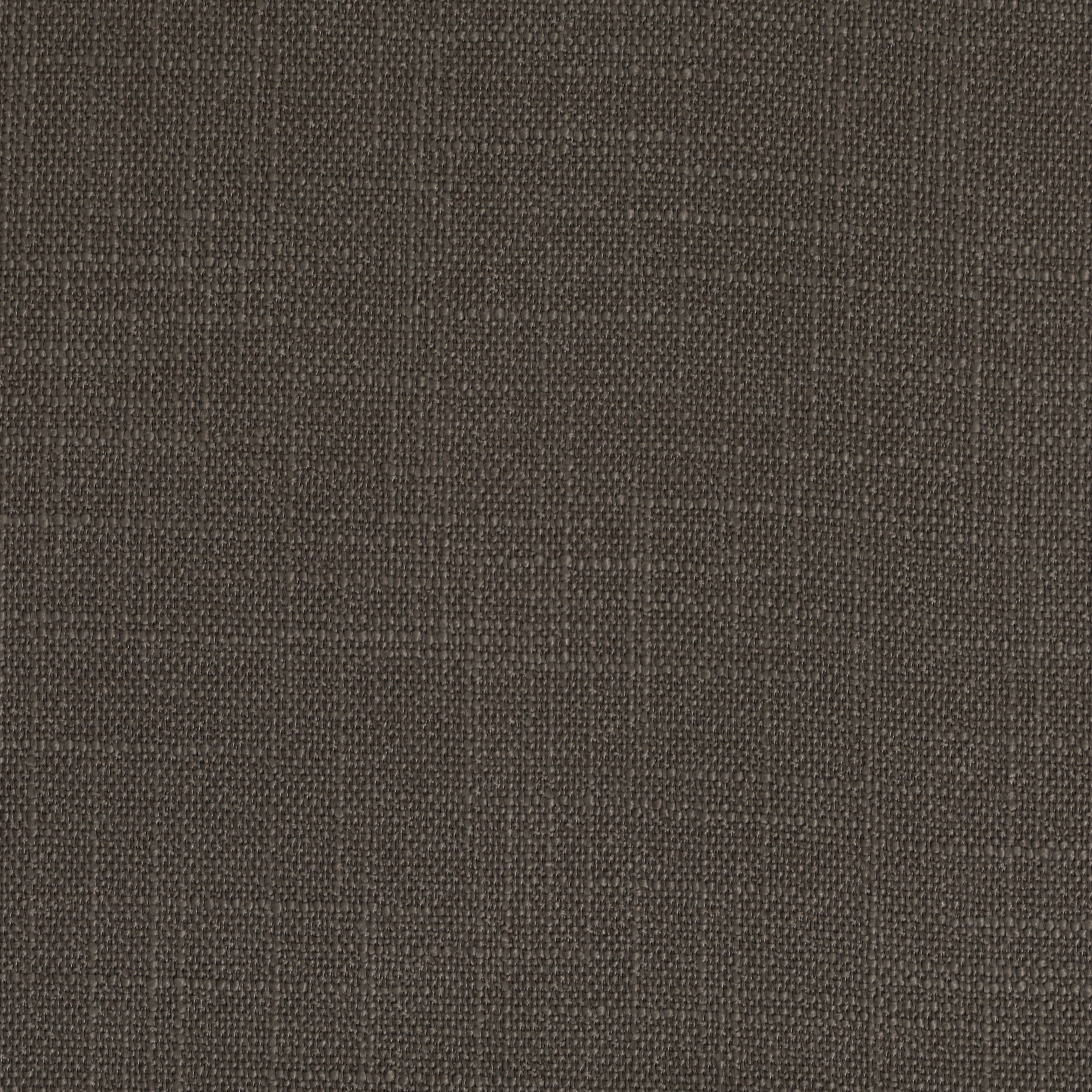 Panama Charcoal