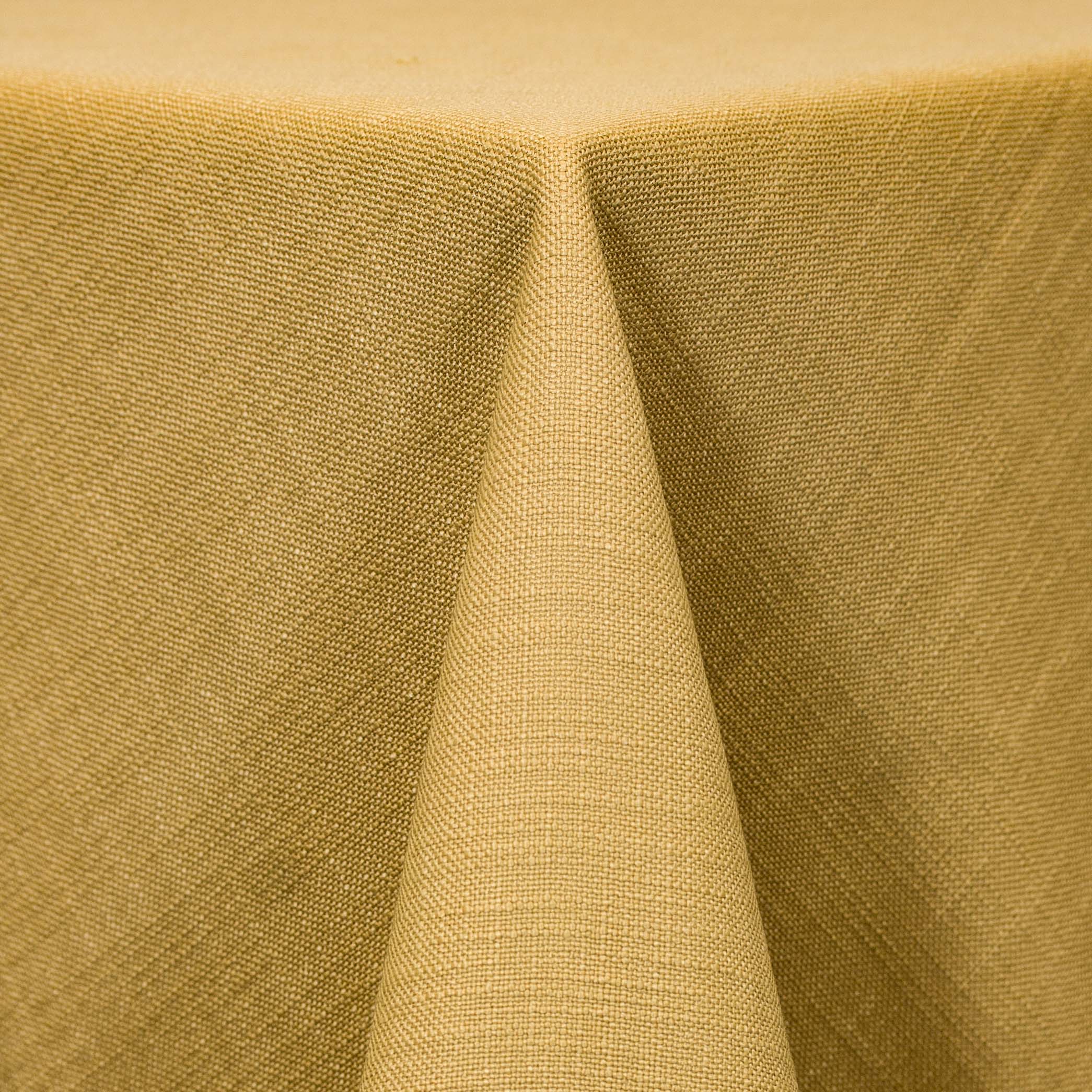 Panama Mustard
