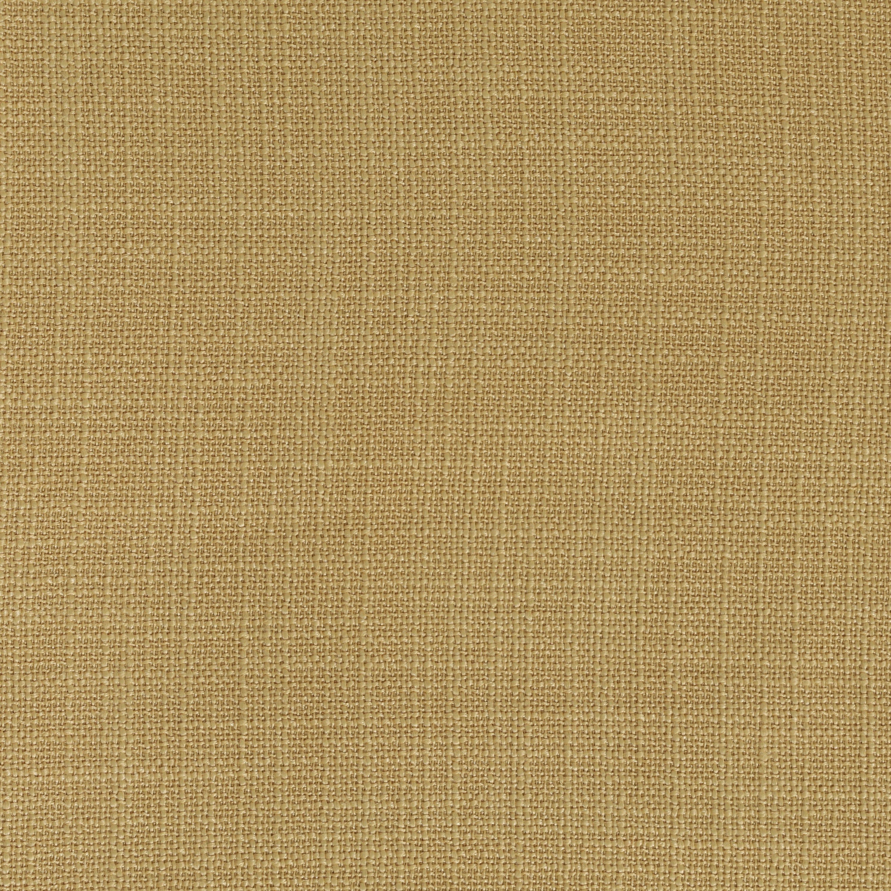 Panama Mustard