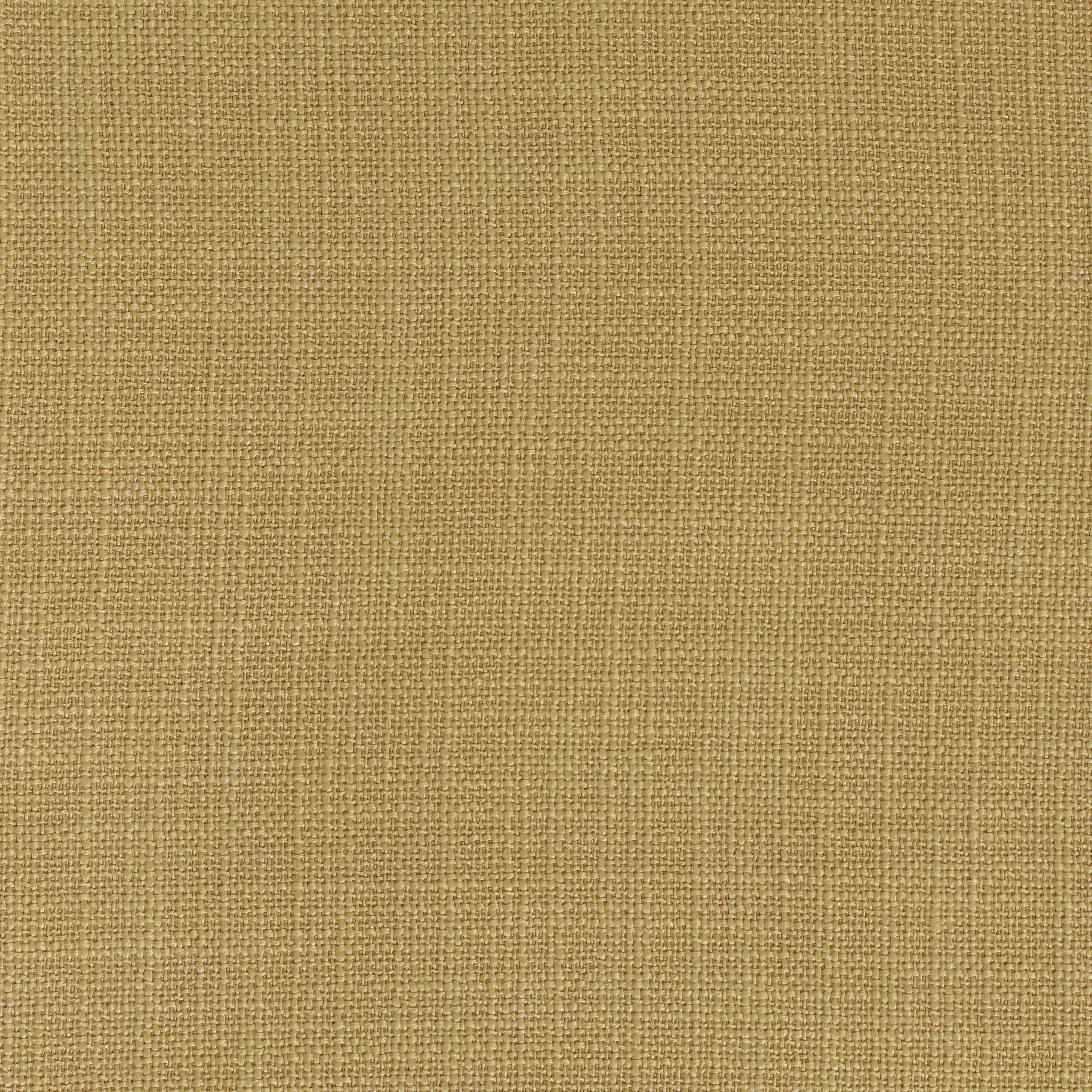 Panama Mustard