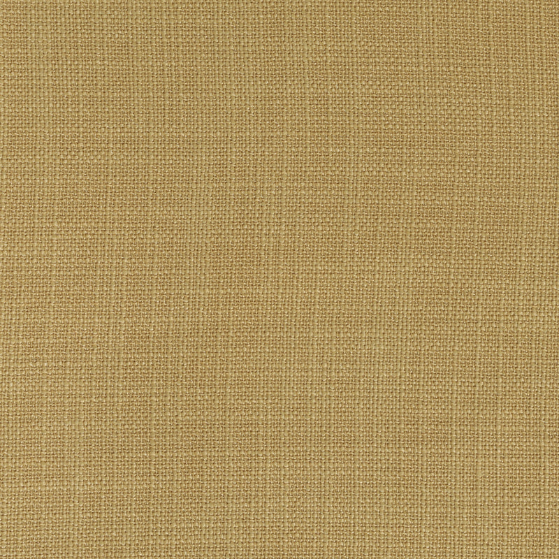 Panama Mustard