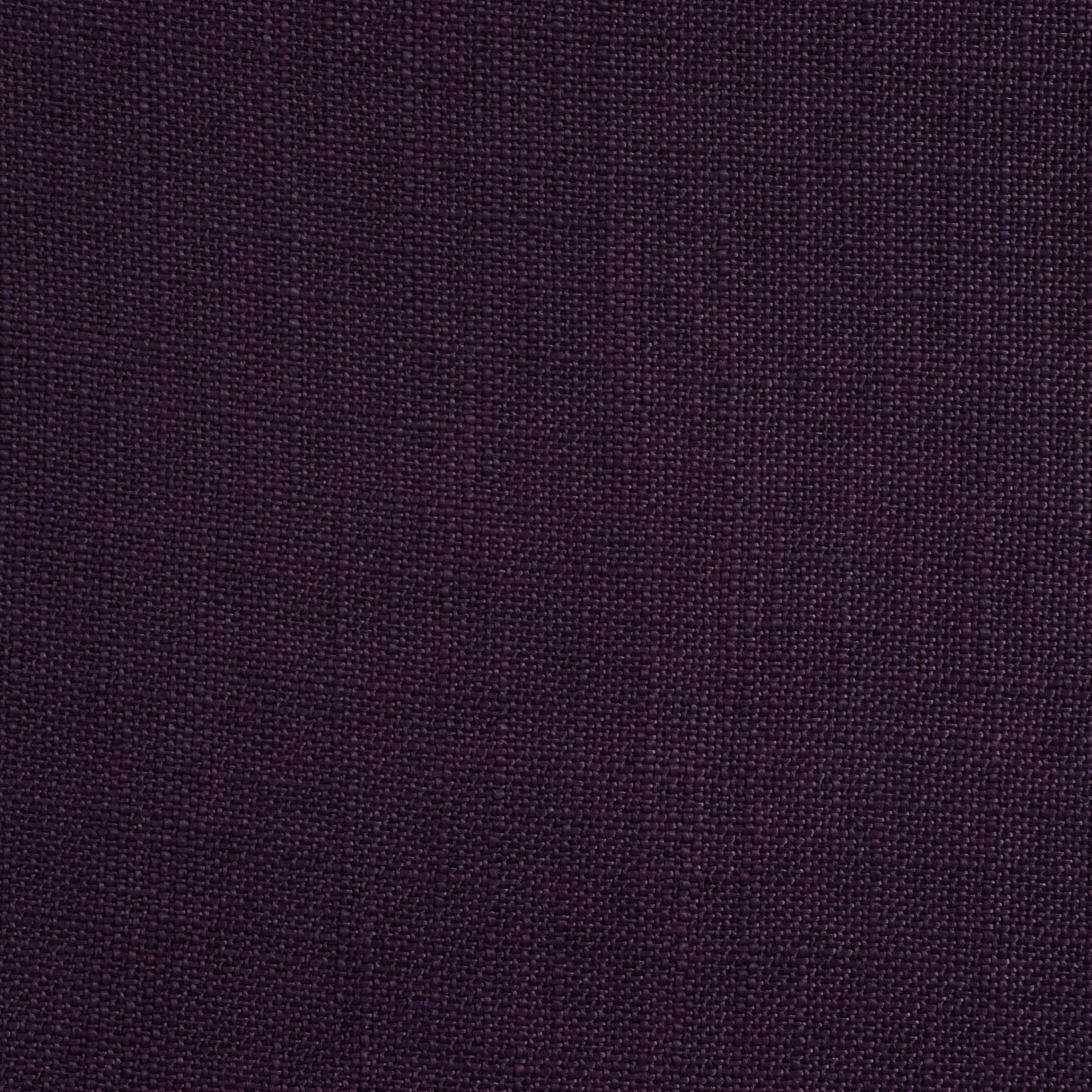 Panama Plum