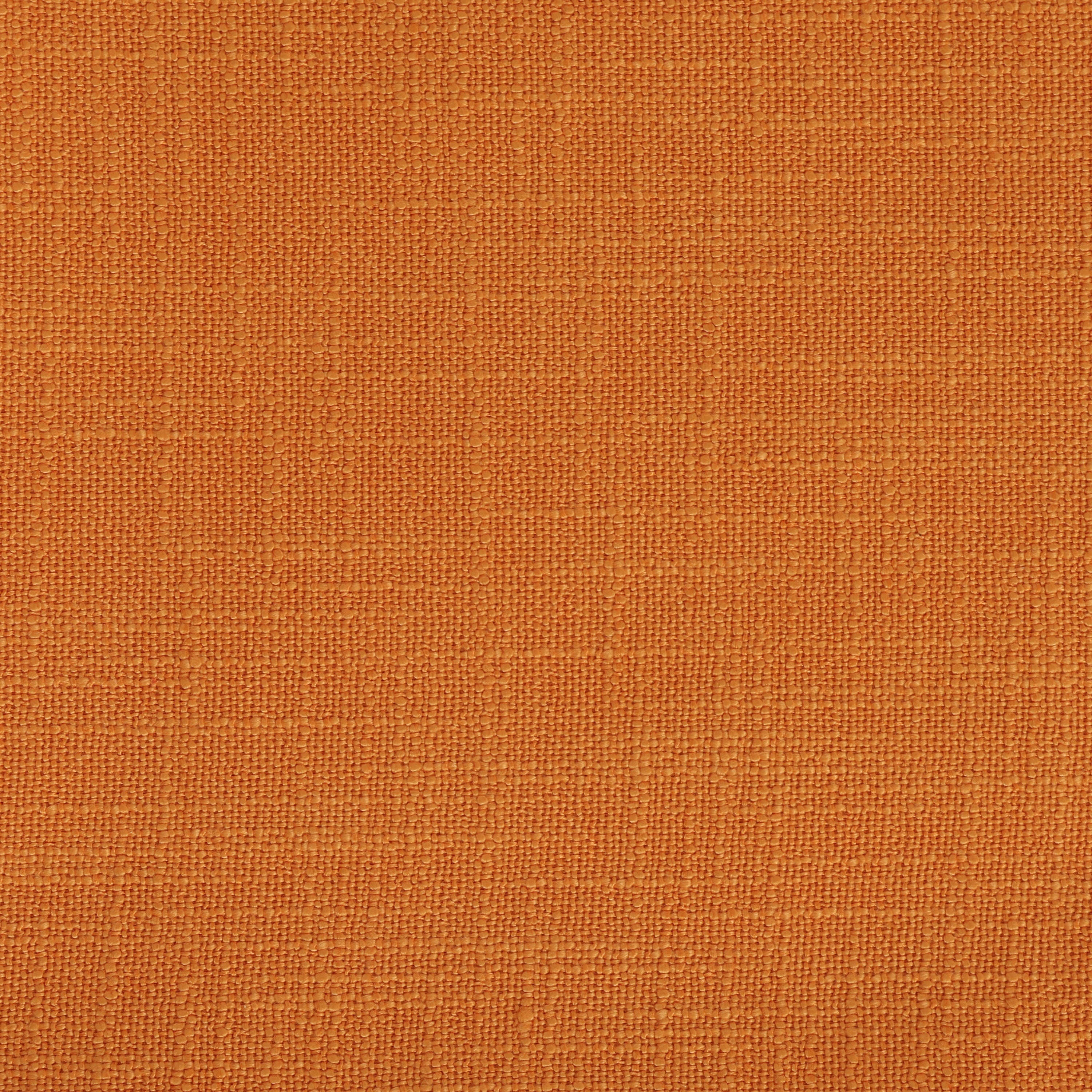 Panama Tangerine