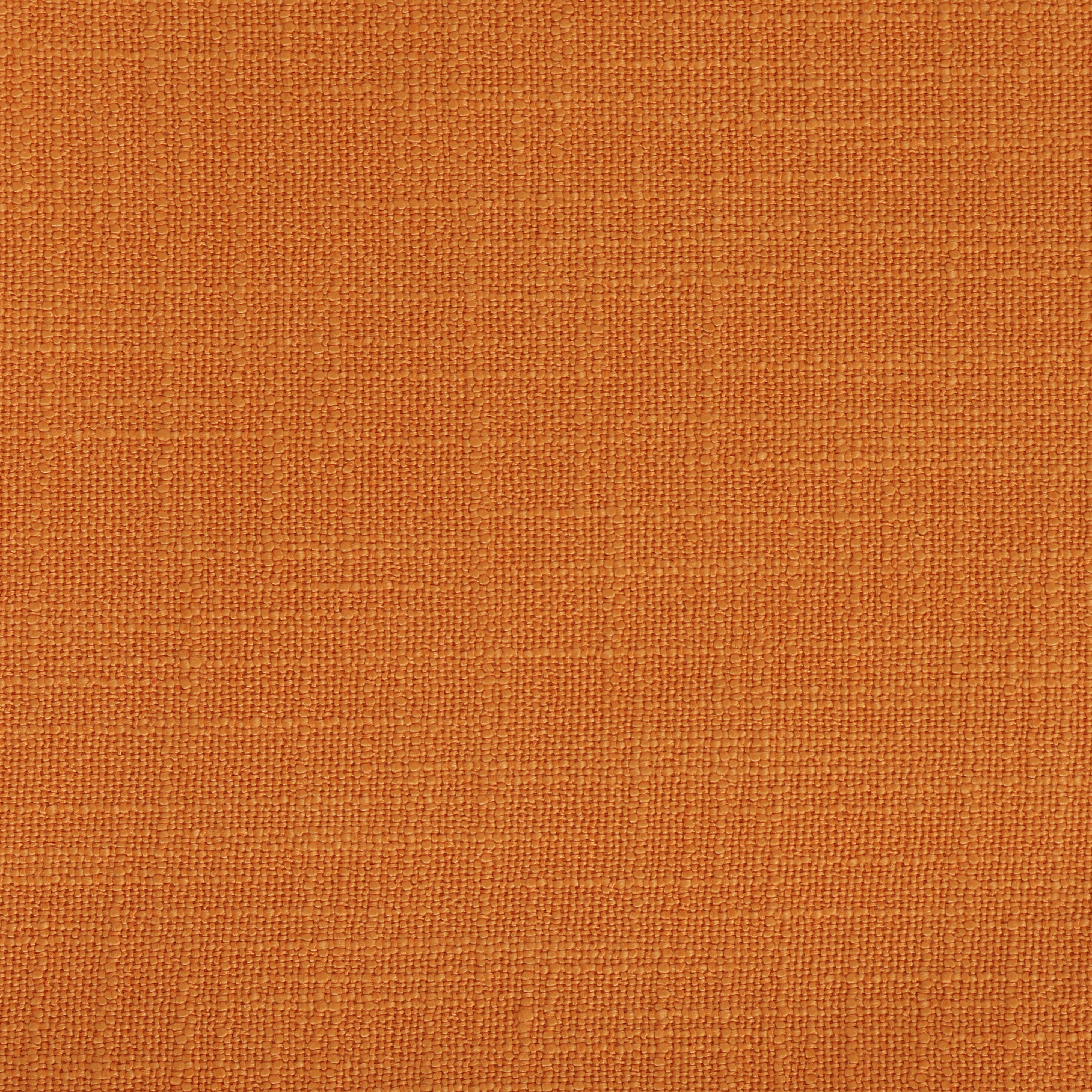 Panama Tangerine