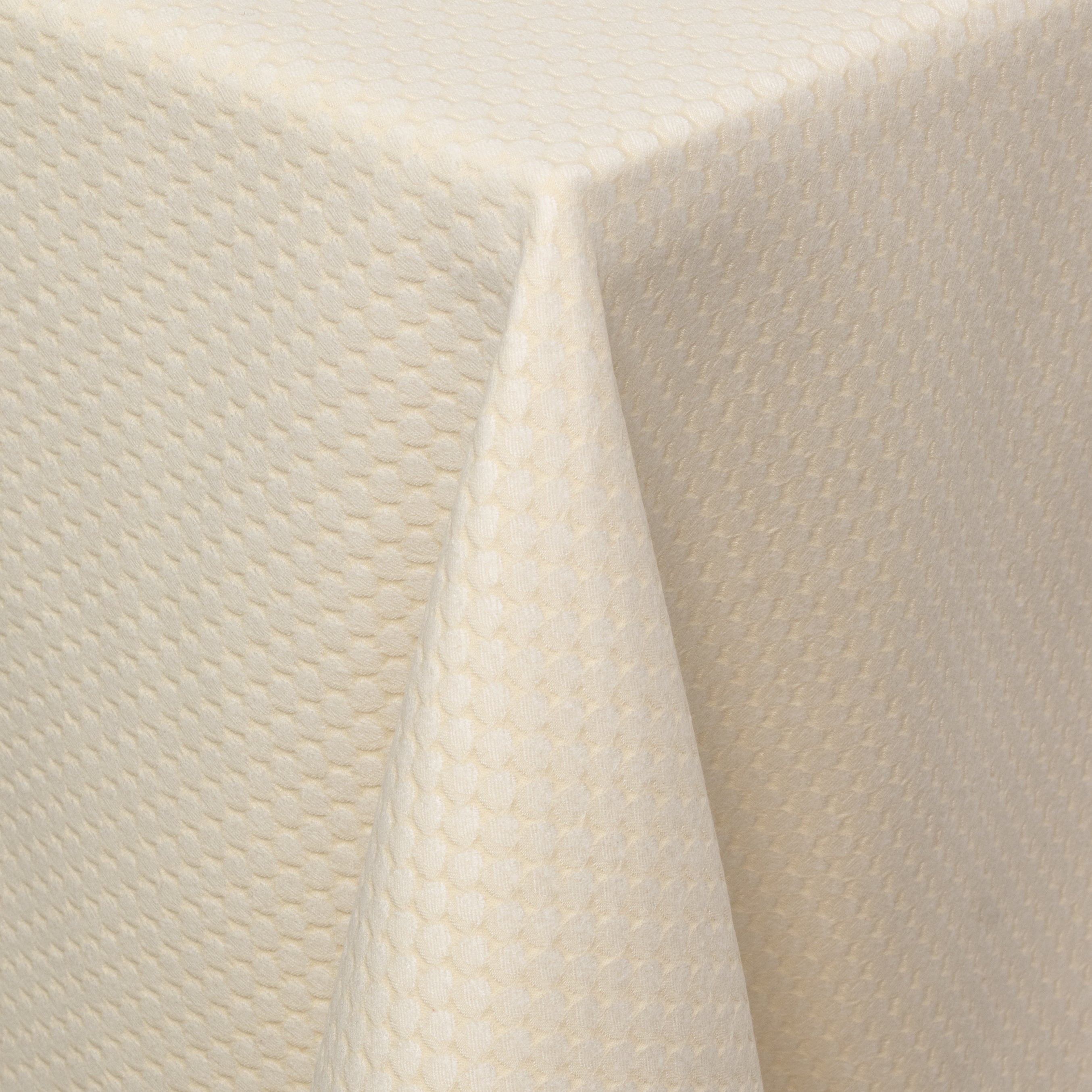 Poxle Ivory