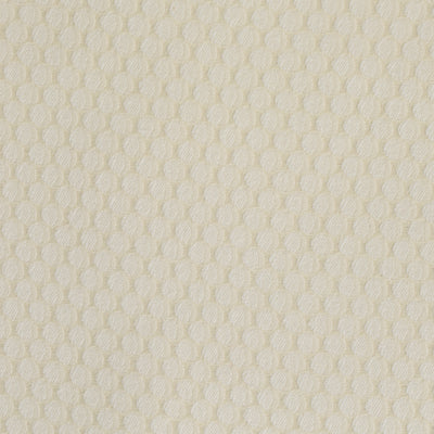 Poxle Ivory