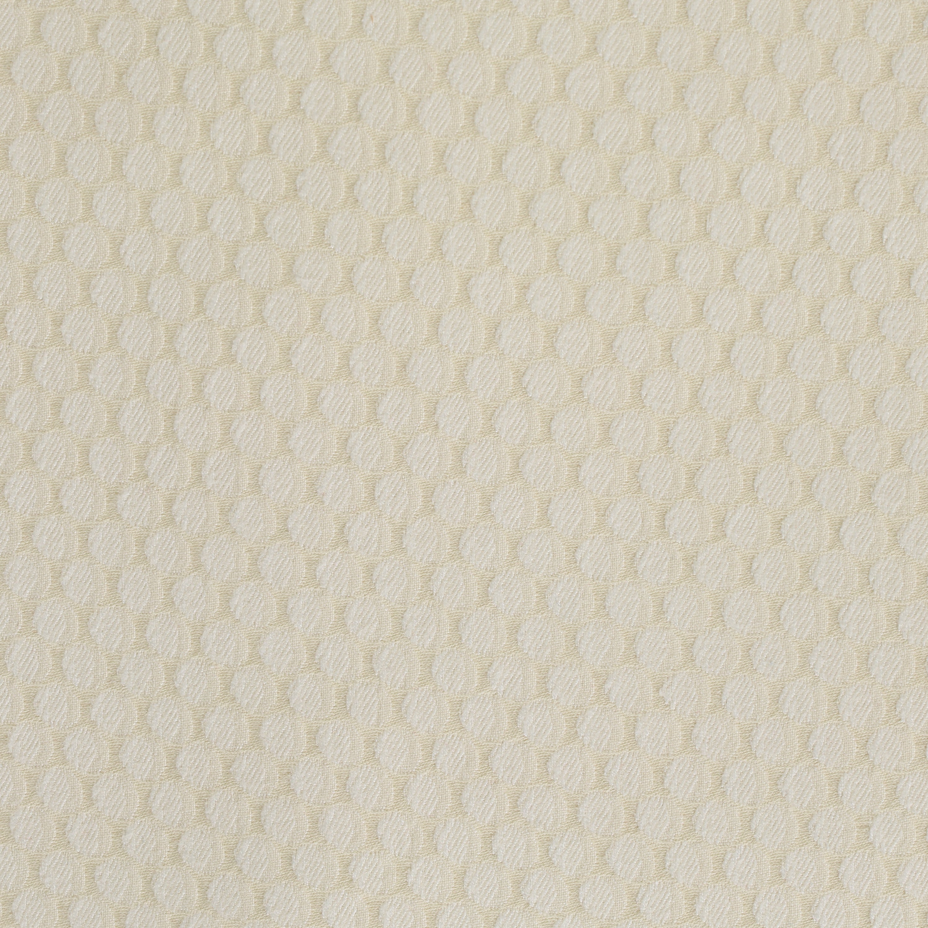 Poxle Ivory