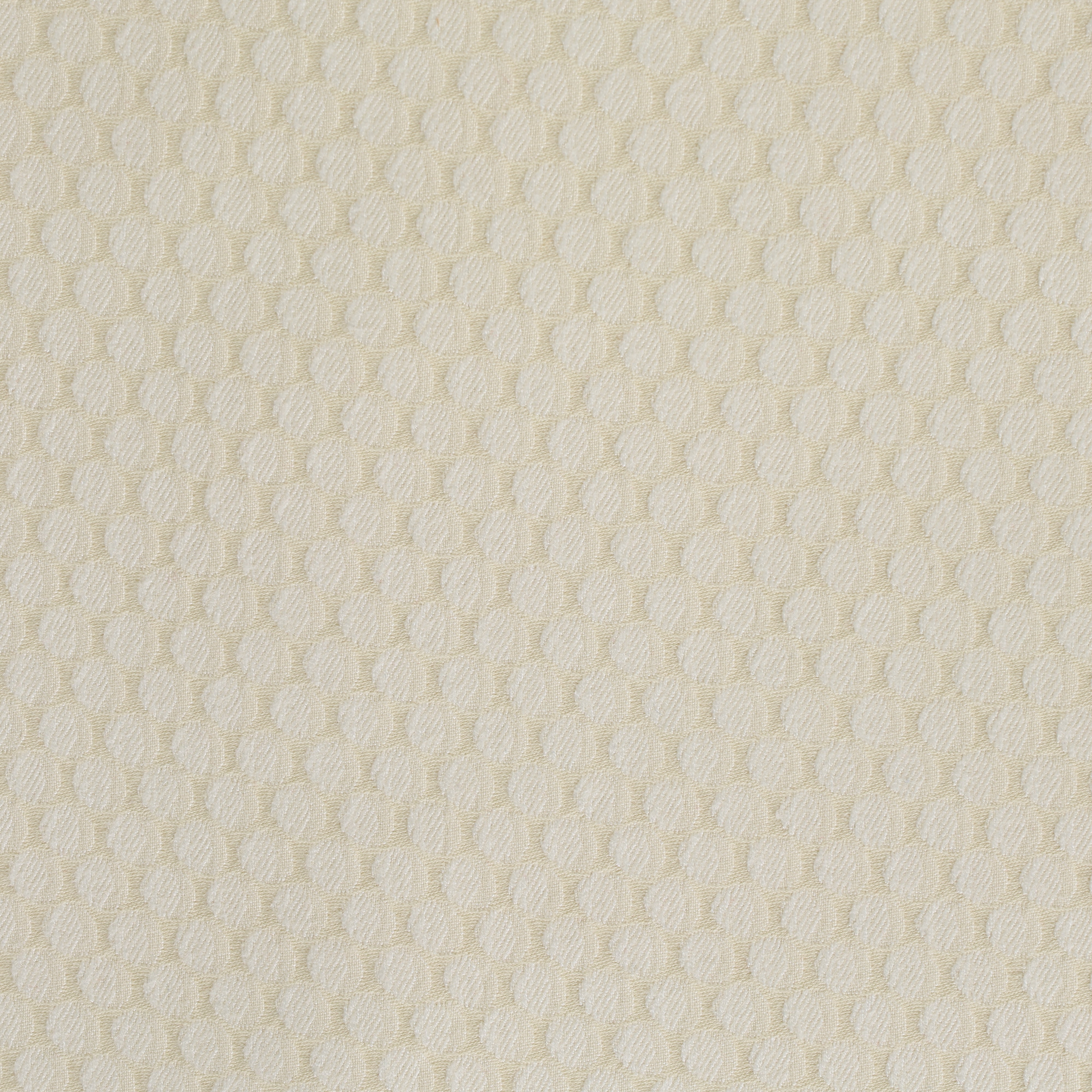 Poxle Ivory
