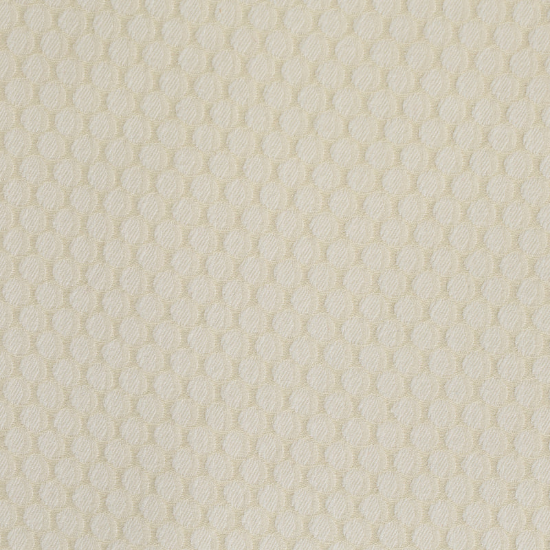 Poxle Ivory