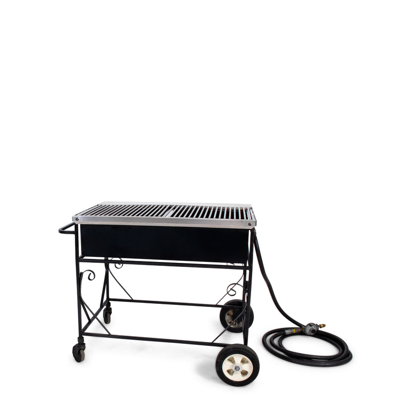 Propane Grill