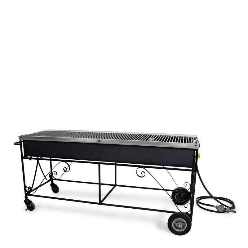 Propane Grill