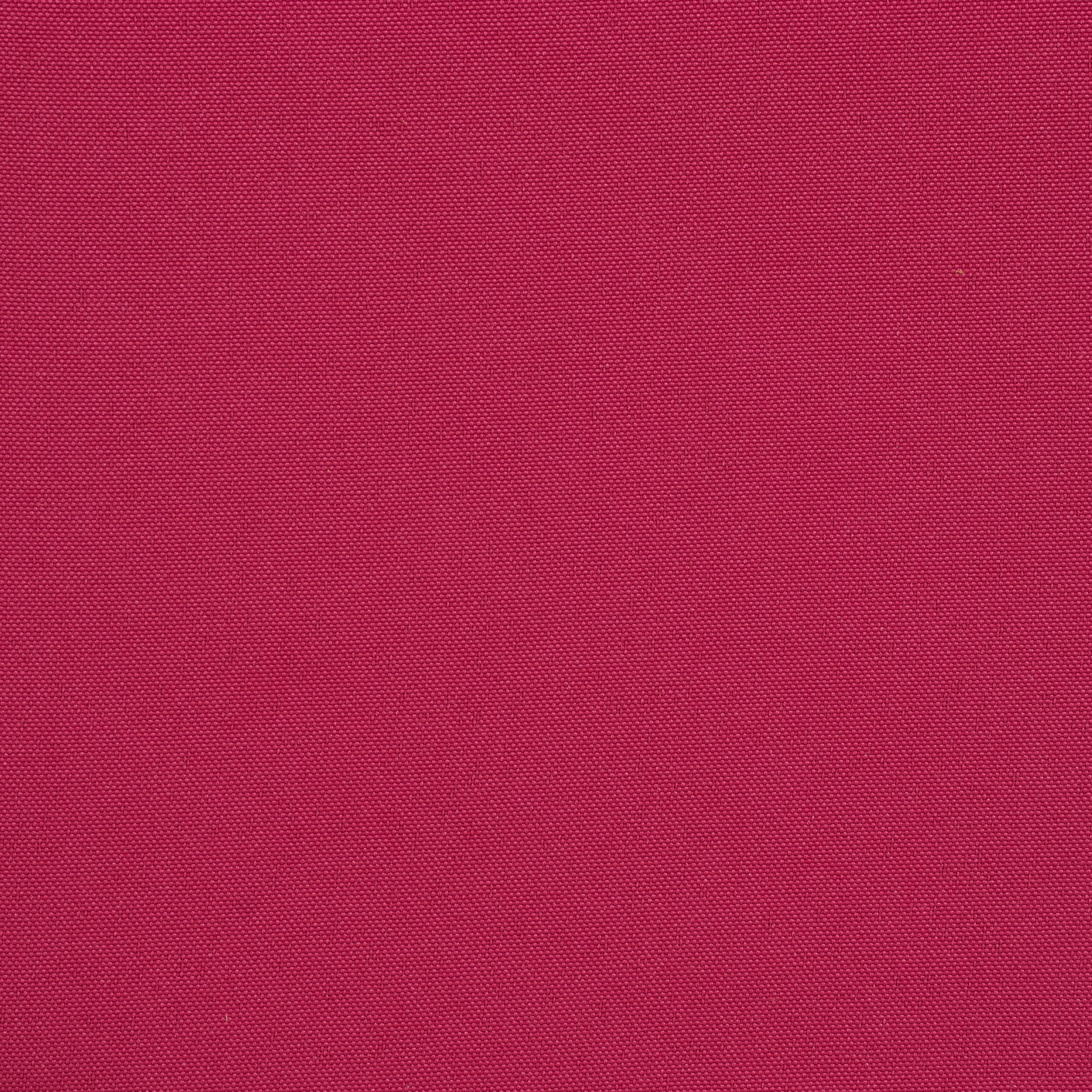 Raspberry Cushion