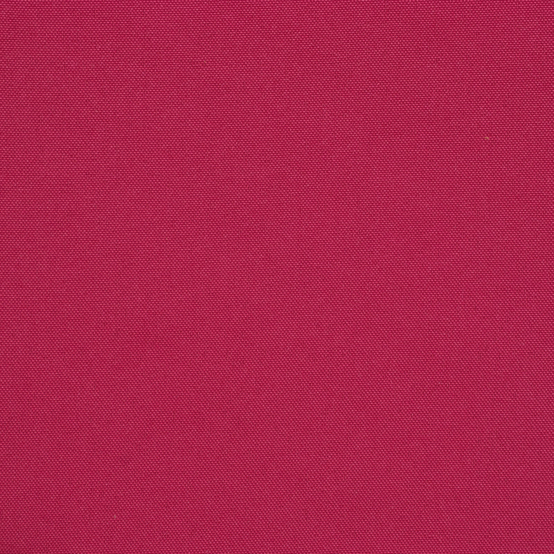 Raspberry Cushion