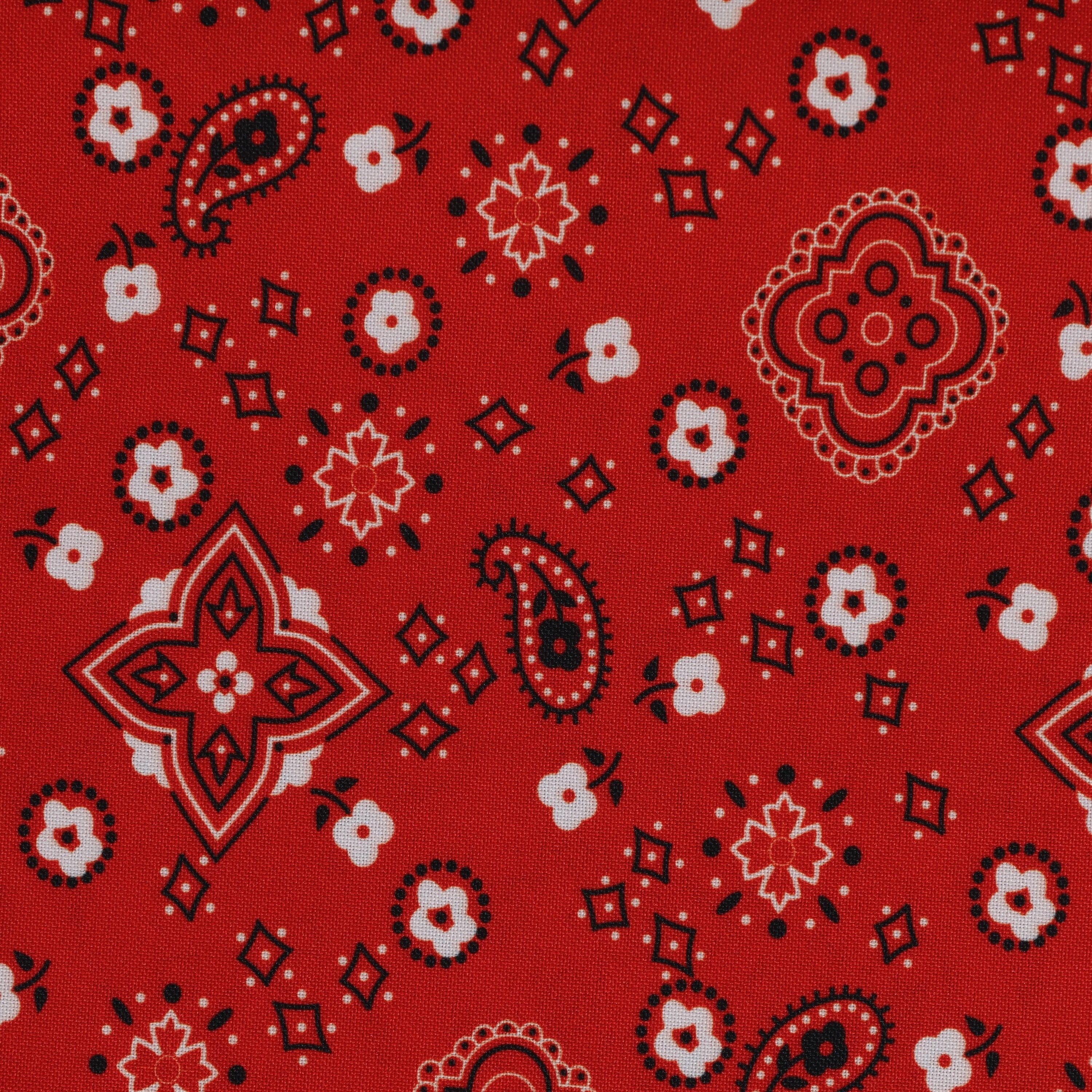 Red Bandana