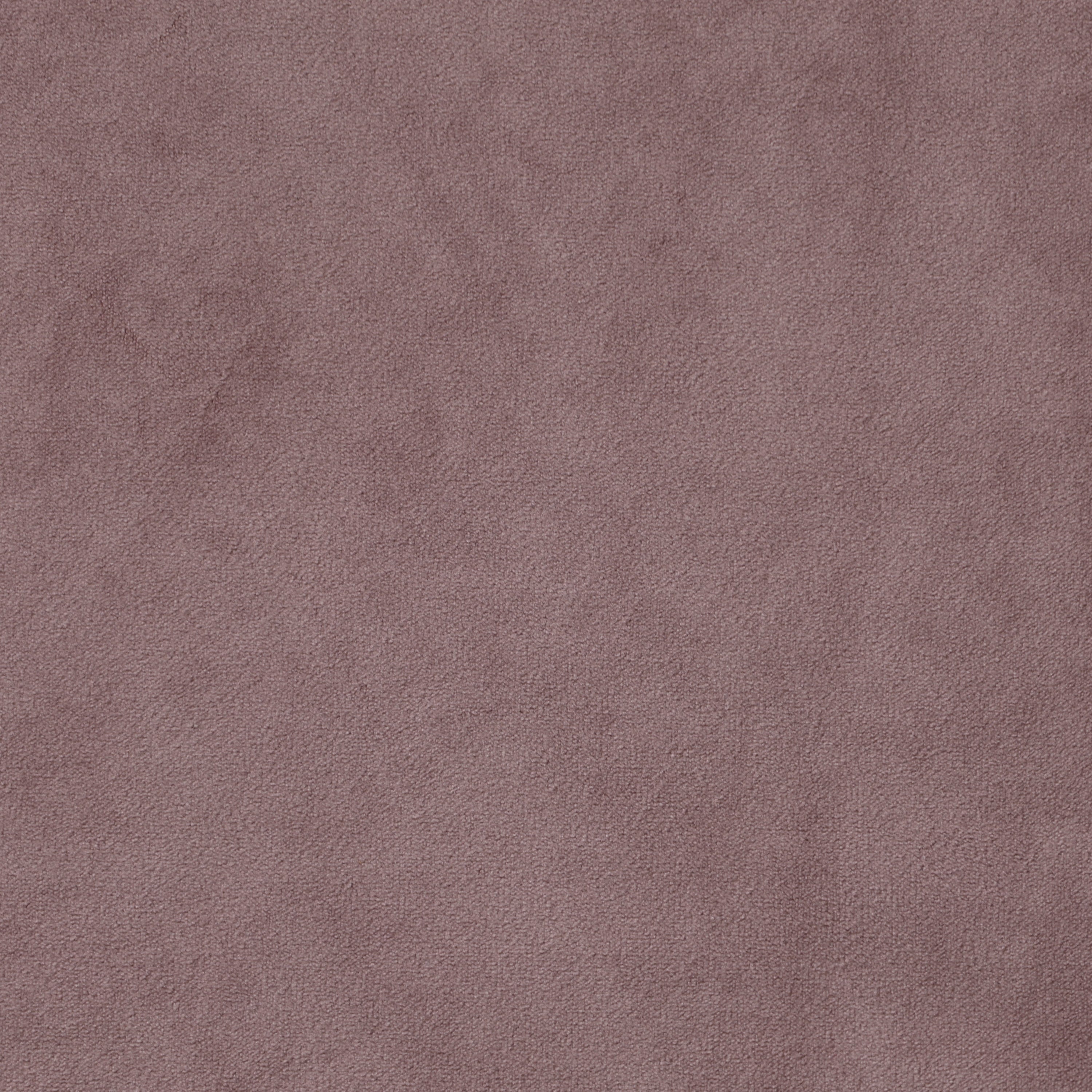 Rose Velvet