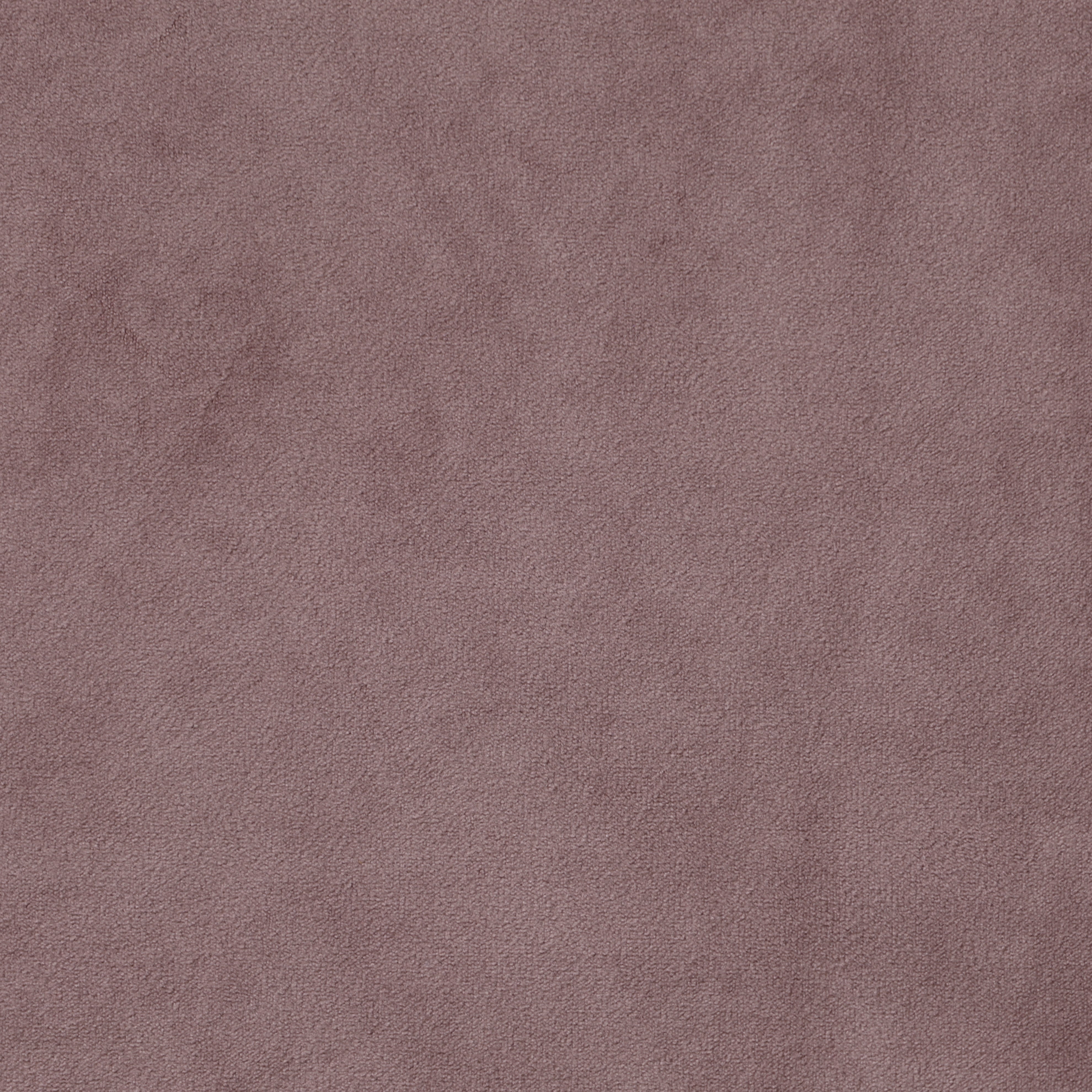 Rose Velvet