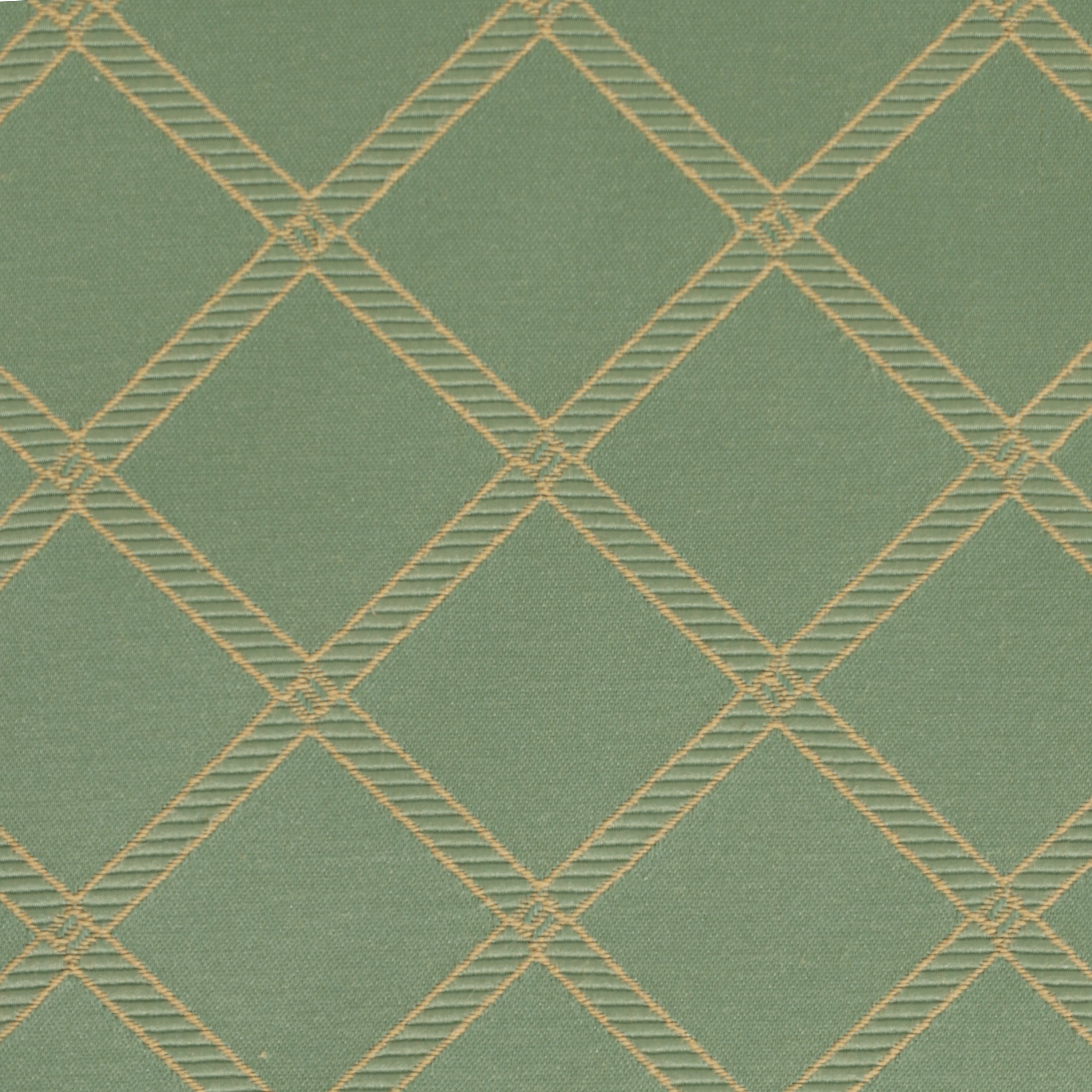 Sage Criss Cross