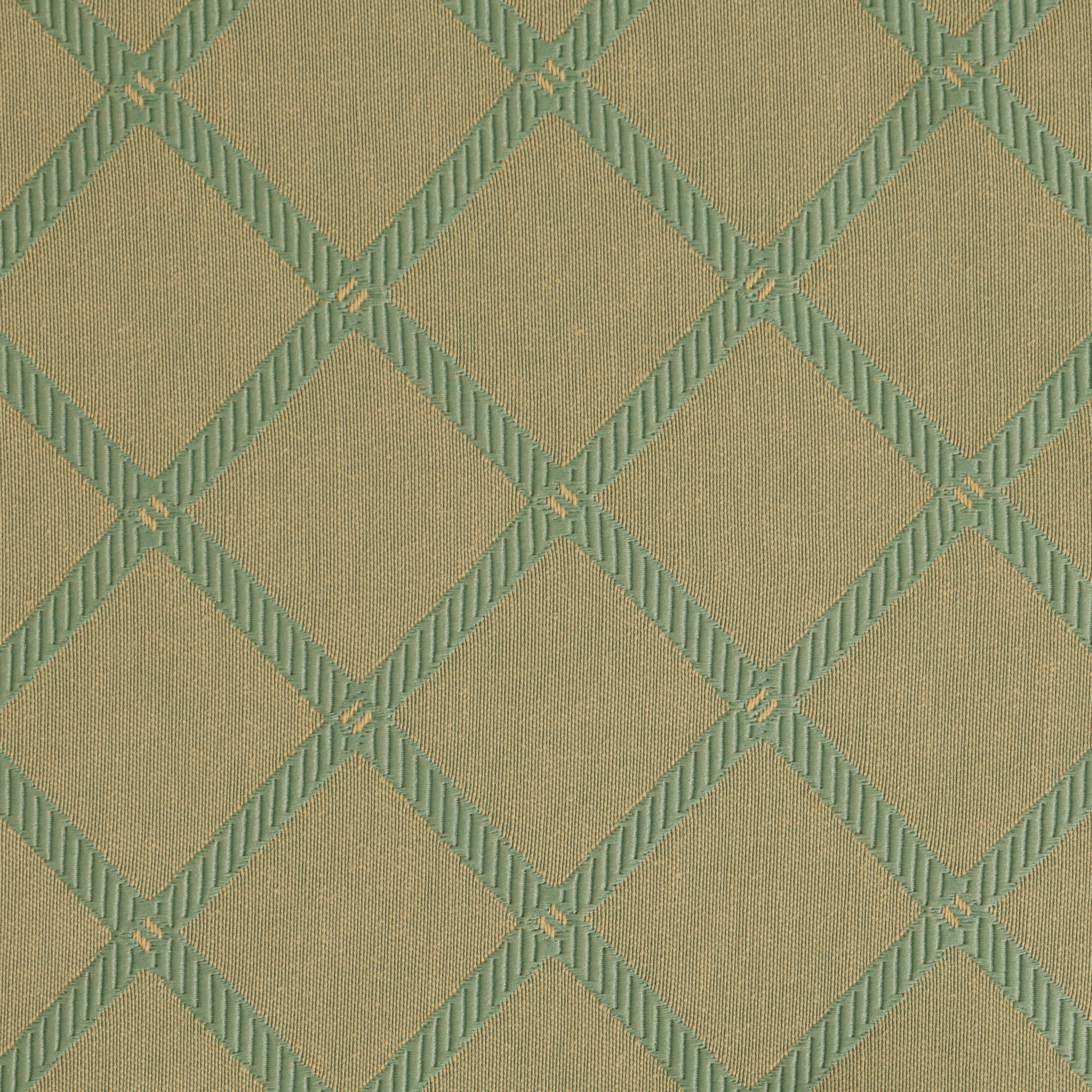 Sage Criss Cross