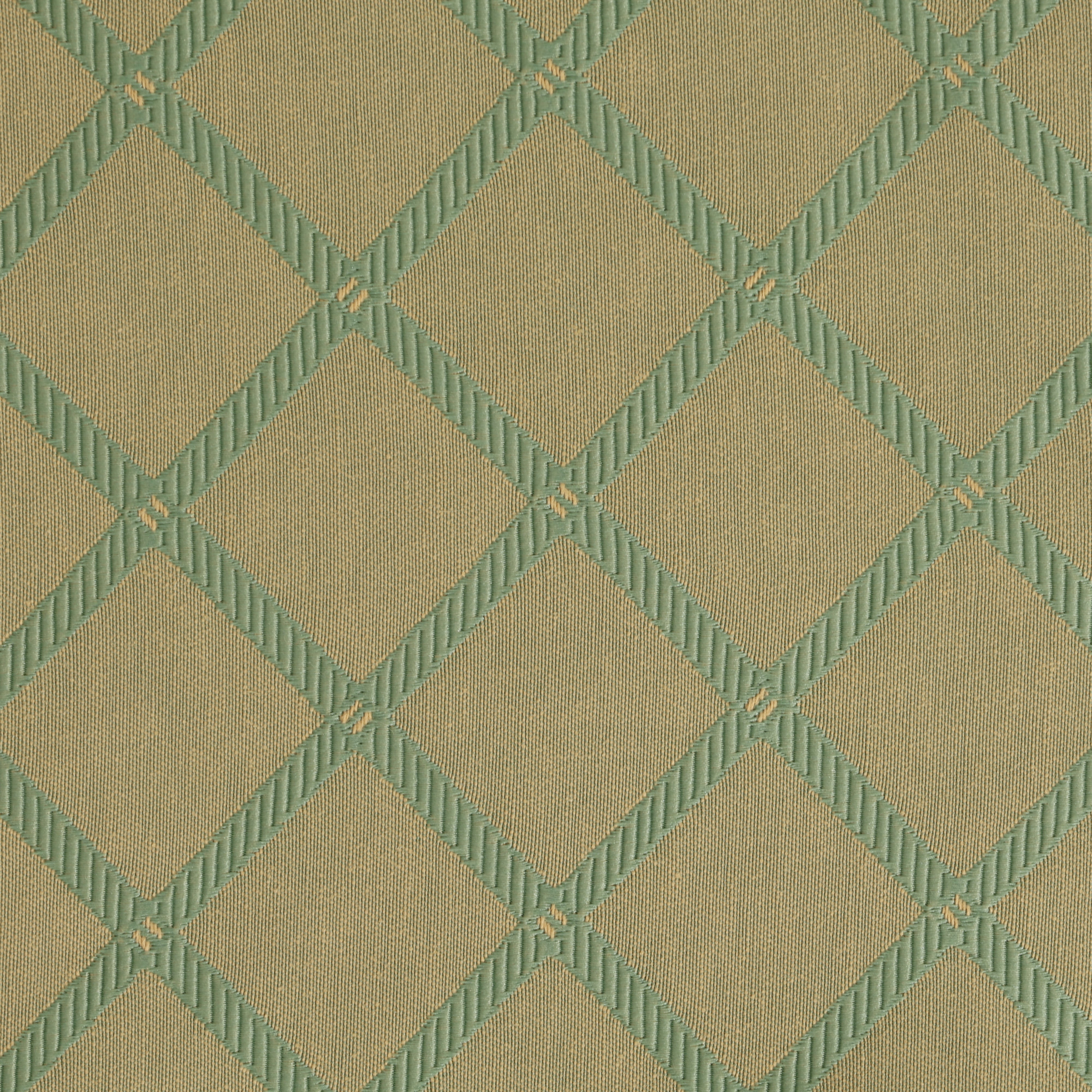 Sage Criss Cross