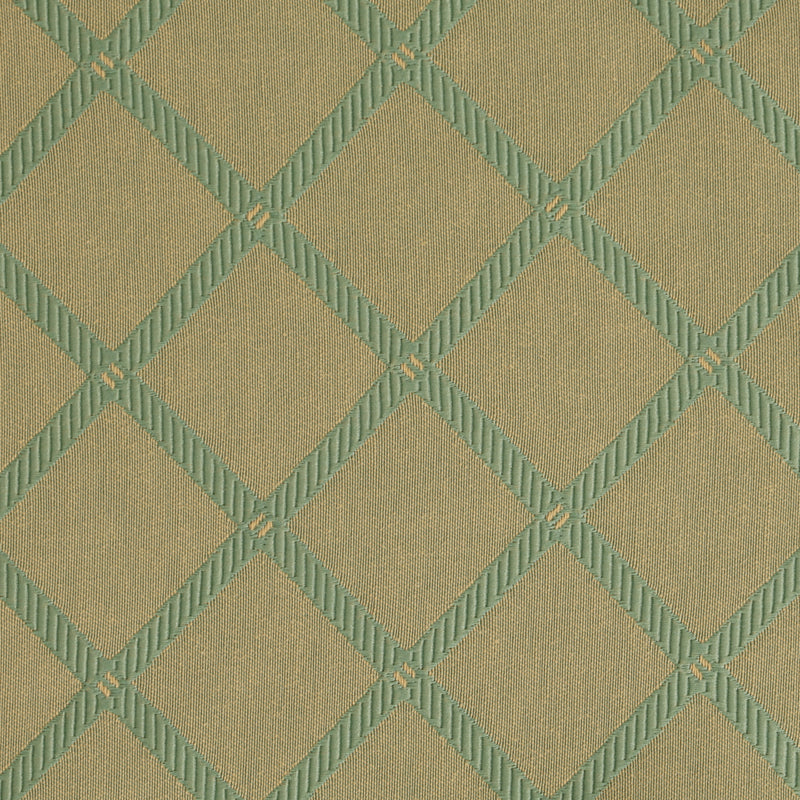 Sage Criss Cross