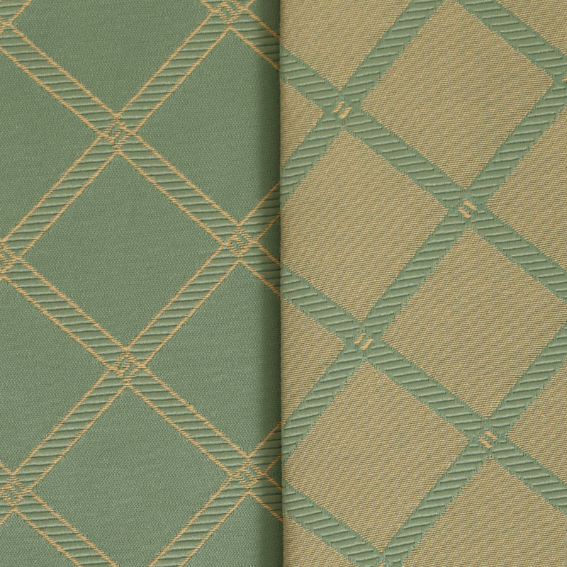 Sage Criss Cross