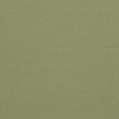 Solid Cotton Nouveau Sage