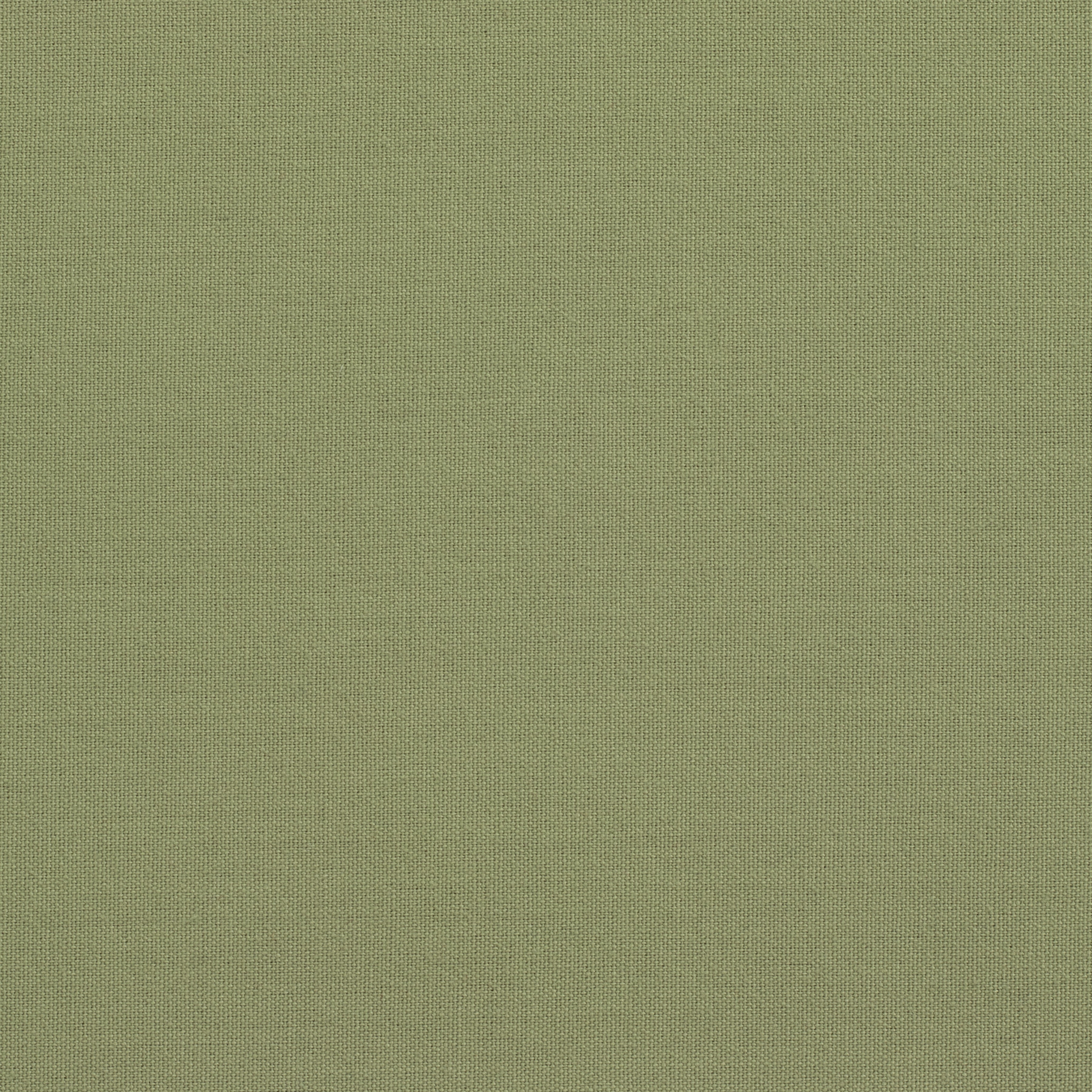 Solid Cotton Nouveau Sage