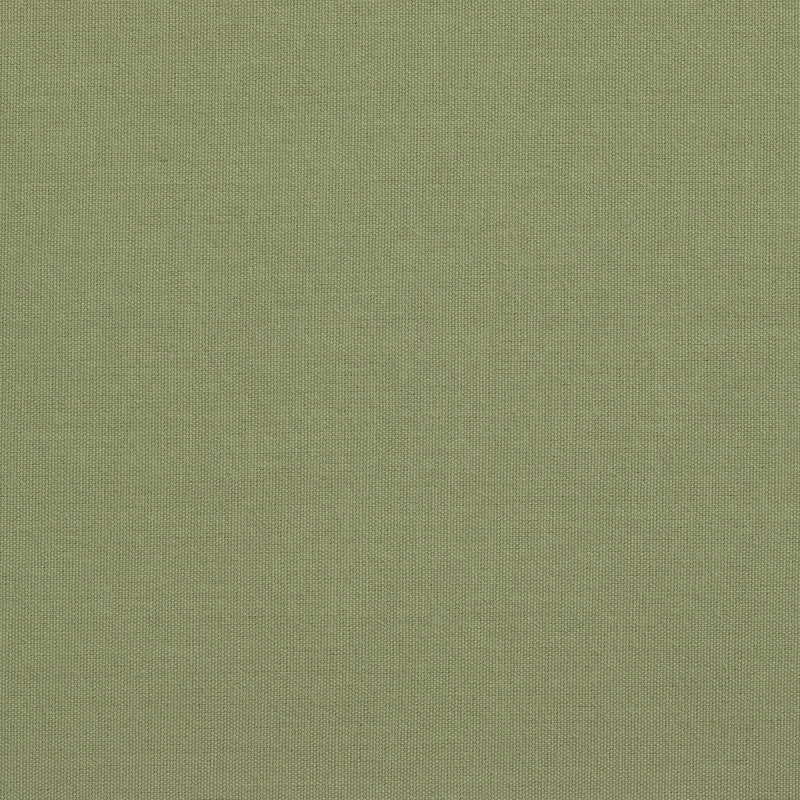 Solid Cotton Nouveau Sage