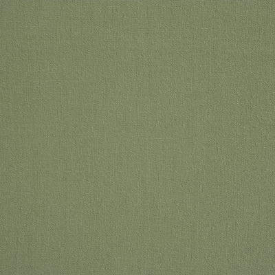 Sage Cushion