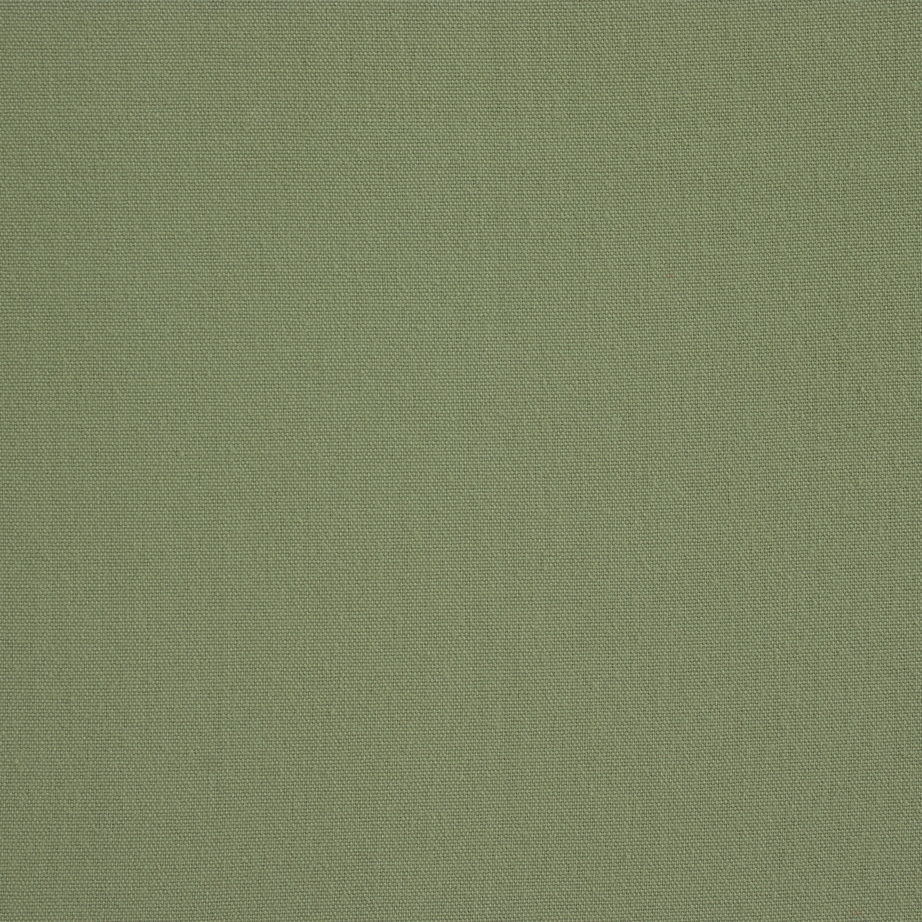 Sage Cushion