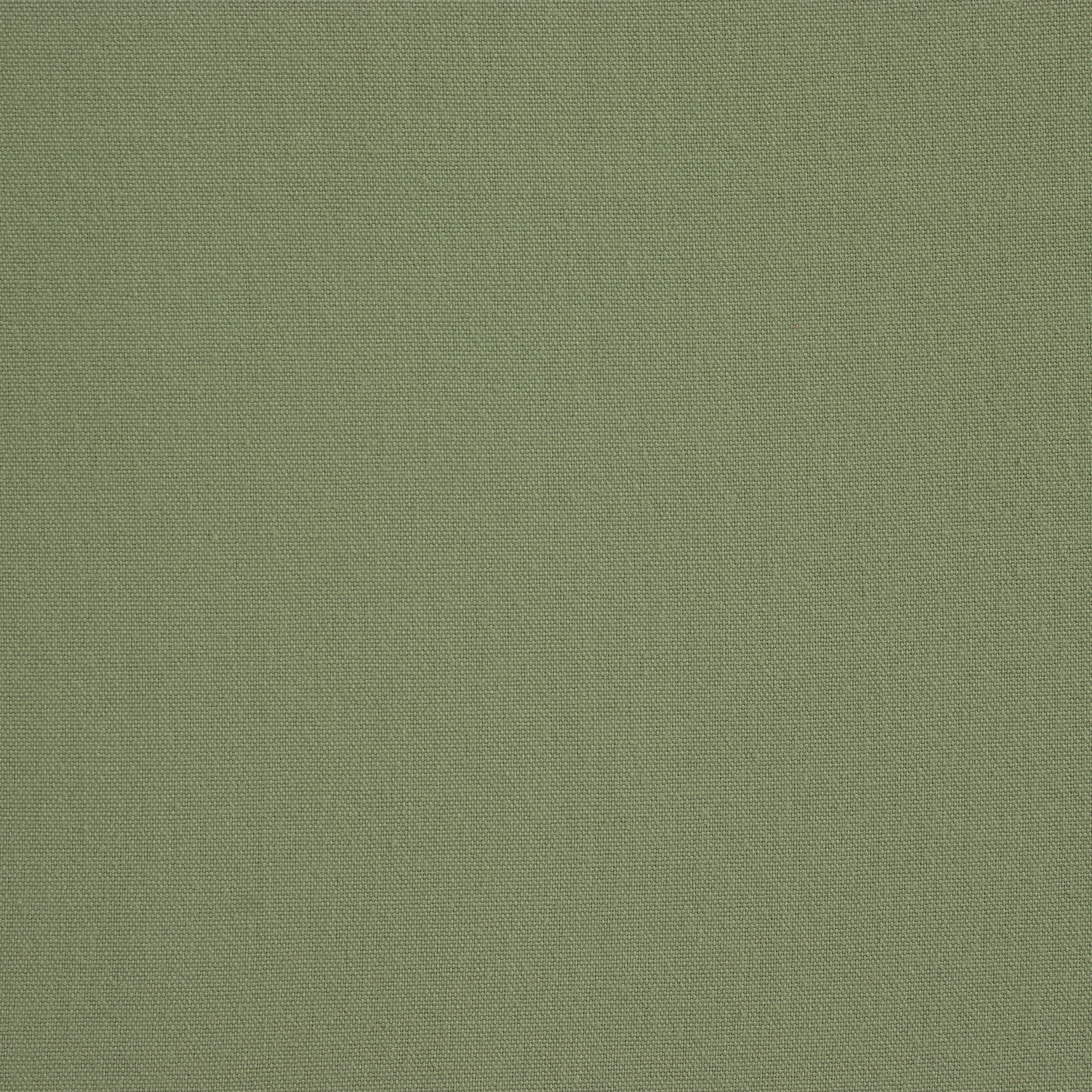 Sage Cushion