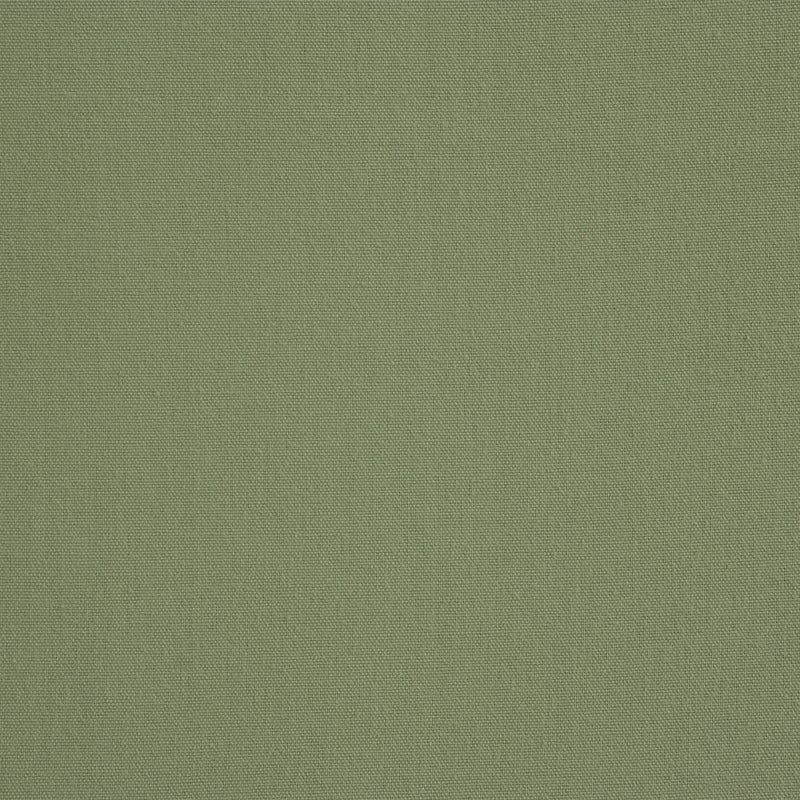Sage Cushion
