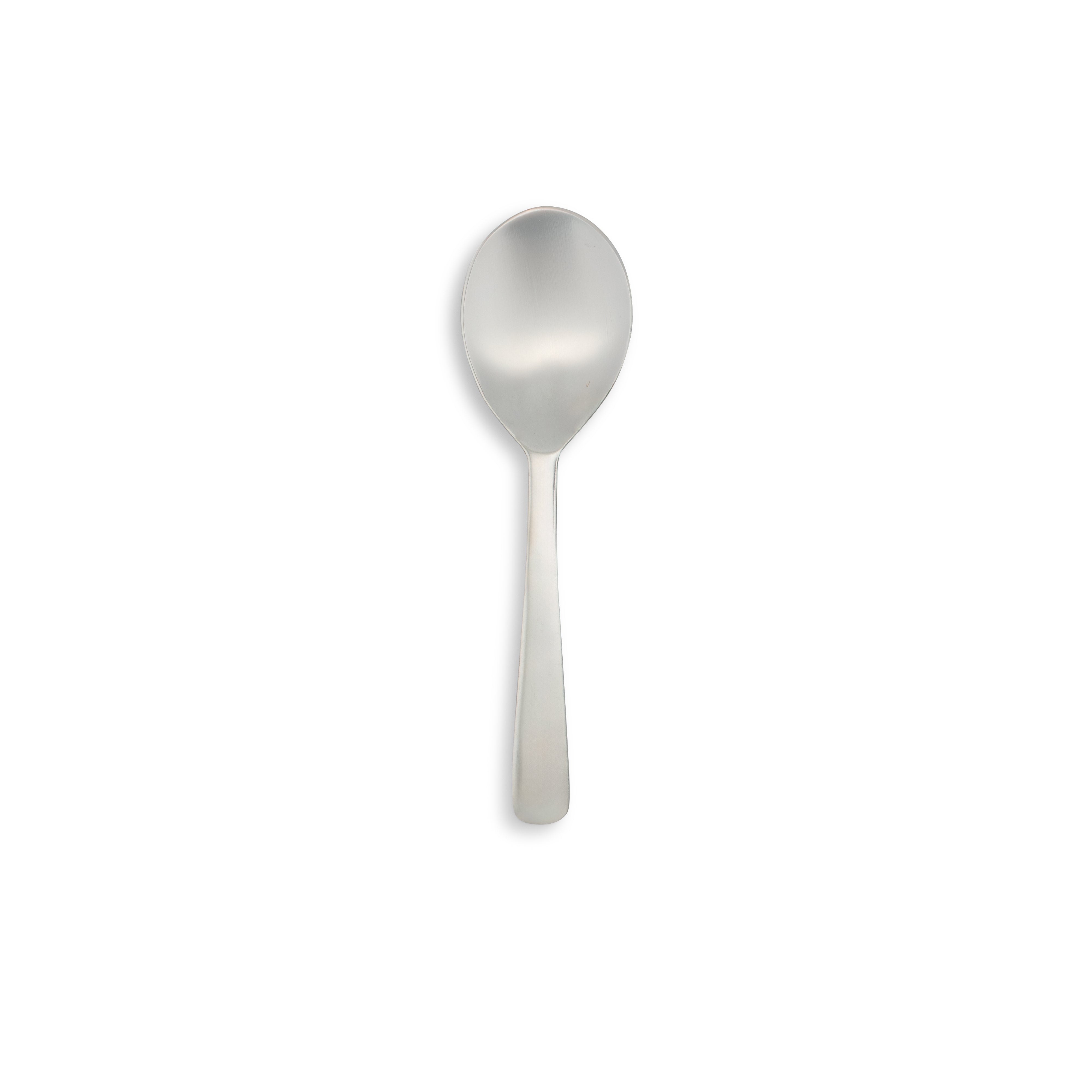 Stainless Steel Short Handled Spoon 9"