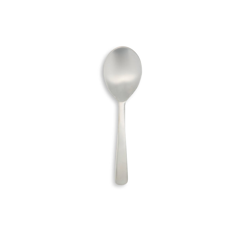 Stainless Steel Short Handled Spoon 9"