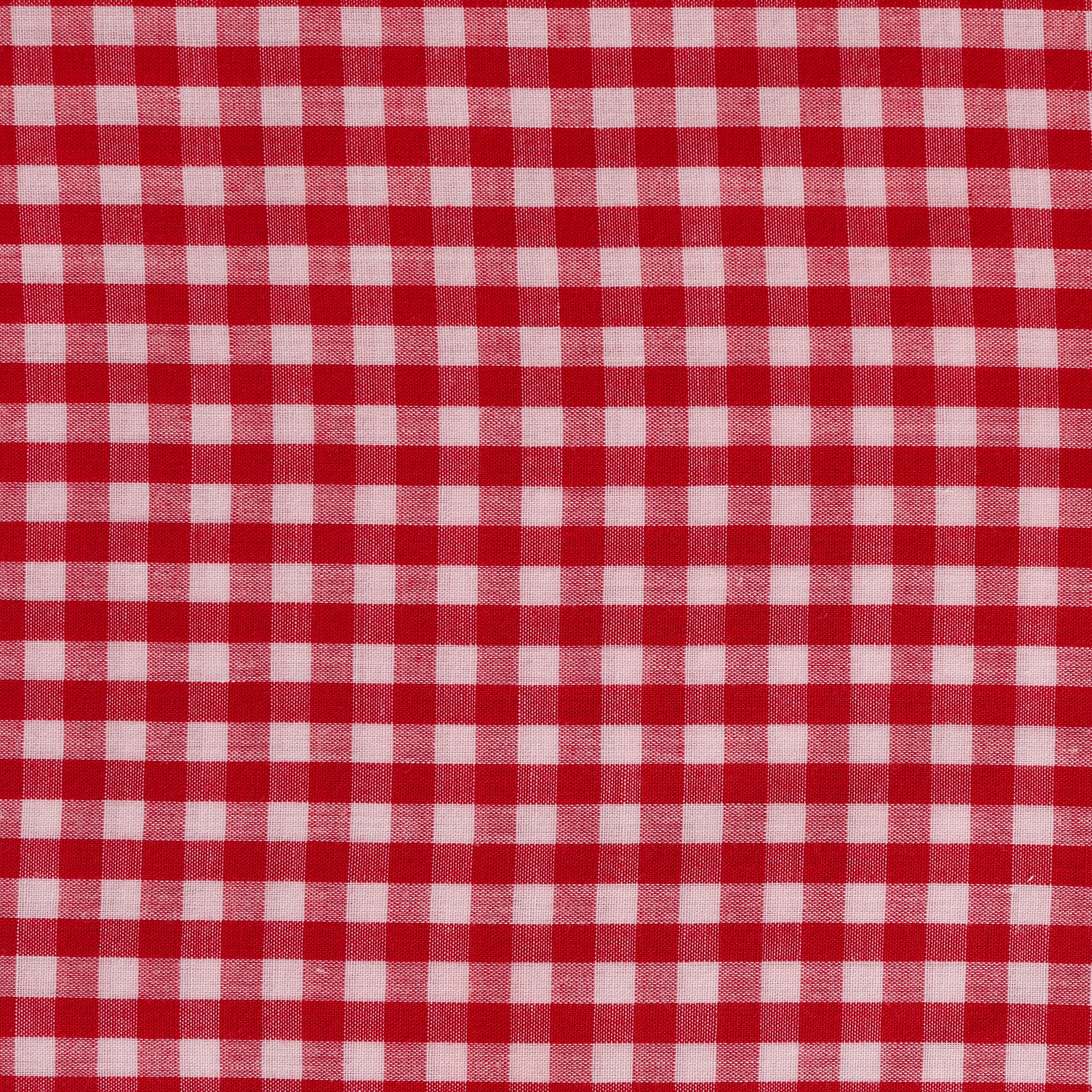 Small Red and White Check