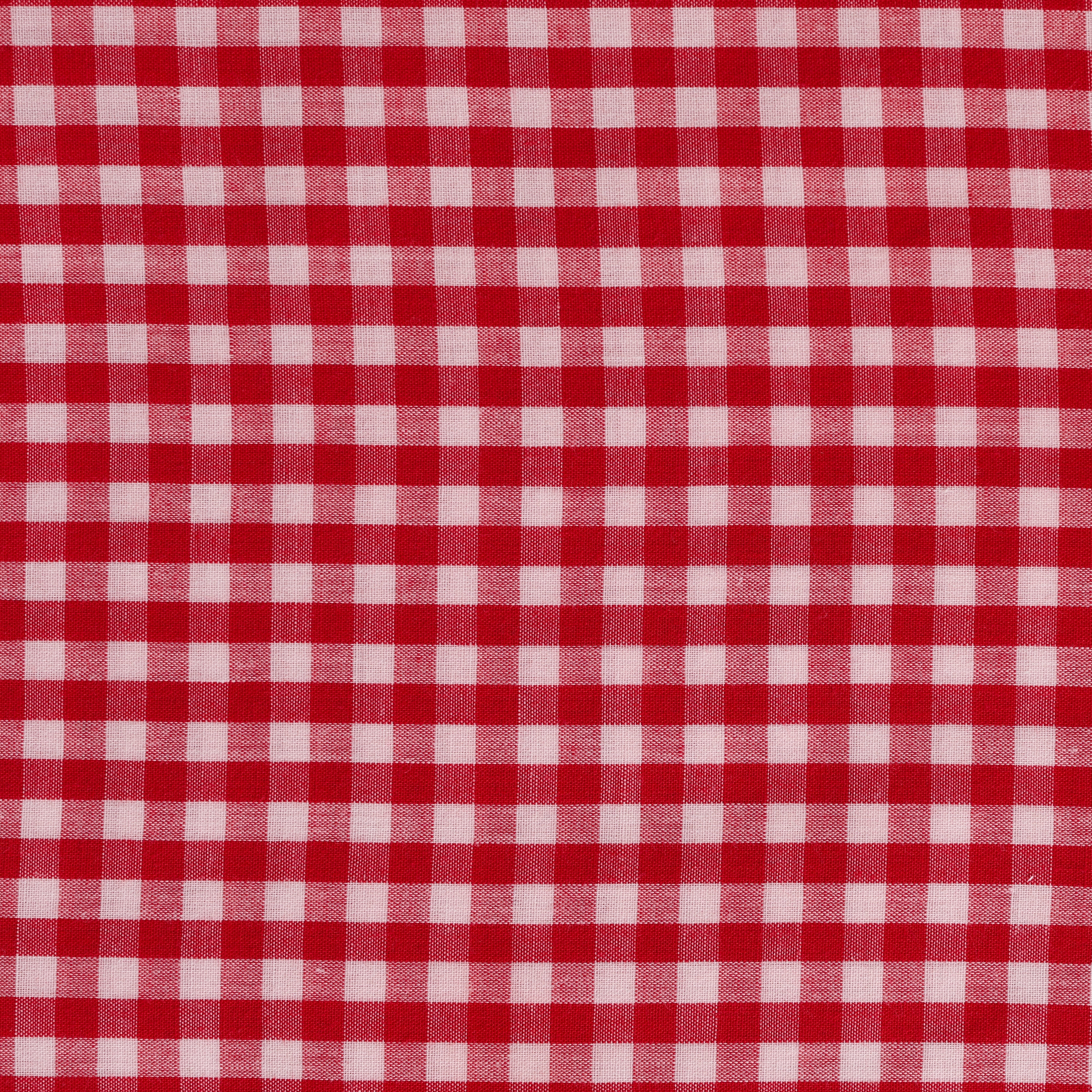 Small Red and White Check